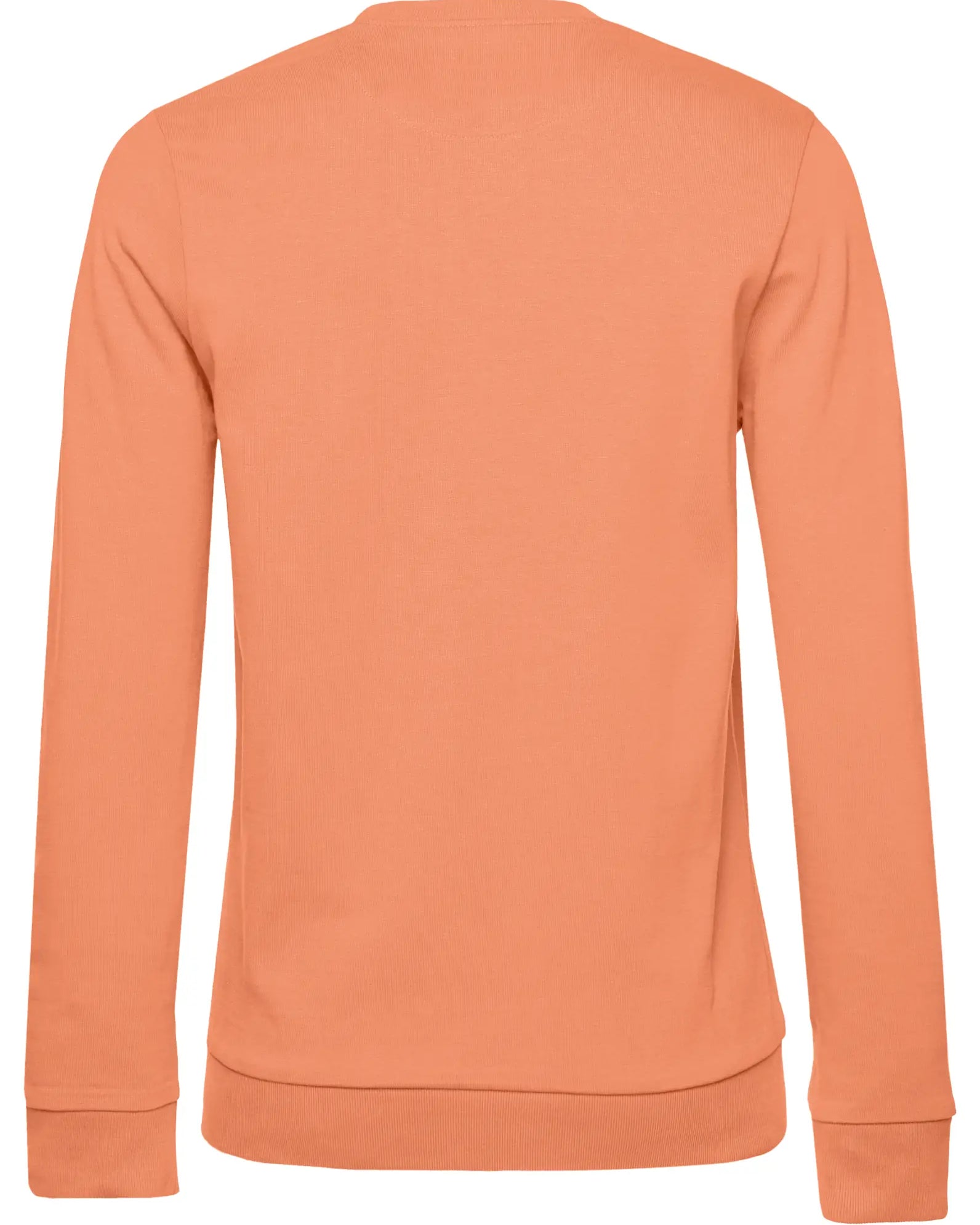 bundle-src:https://cdn.shopify.com/s/files/1/0946/1078/4639/files/BCWW02W_2_Back_2048x2048.webp?v=1773067021