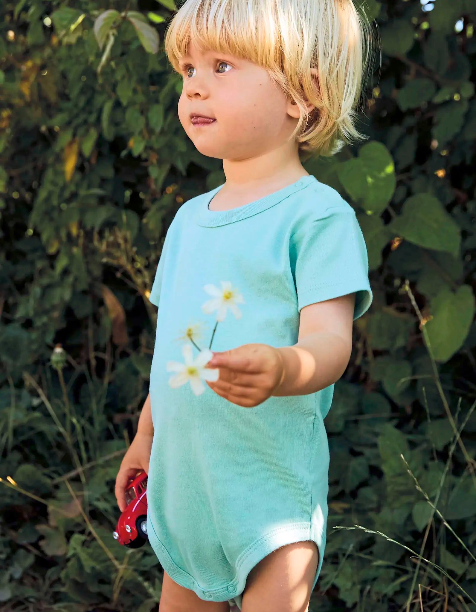 b31d8f72f67565f311b994b066eb5e22