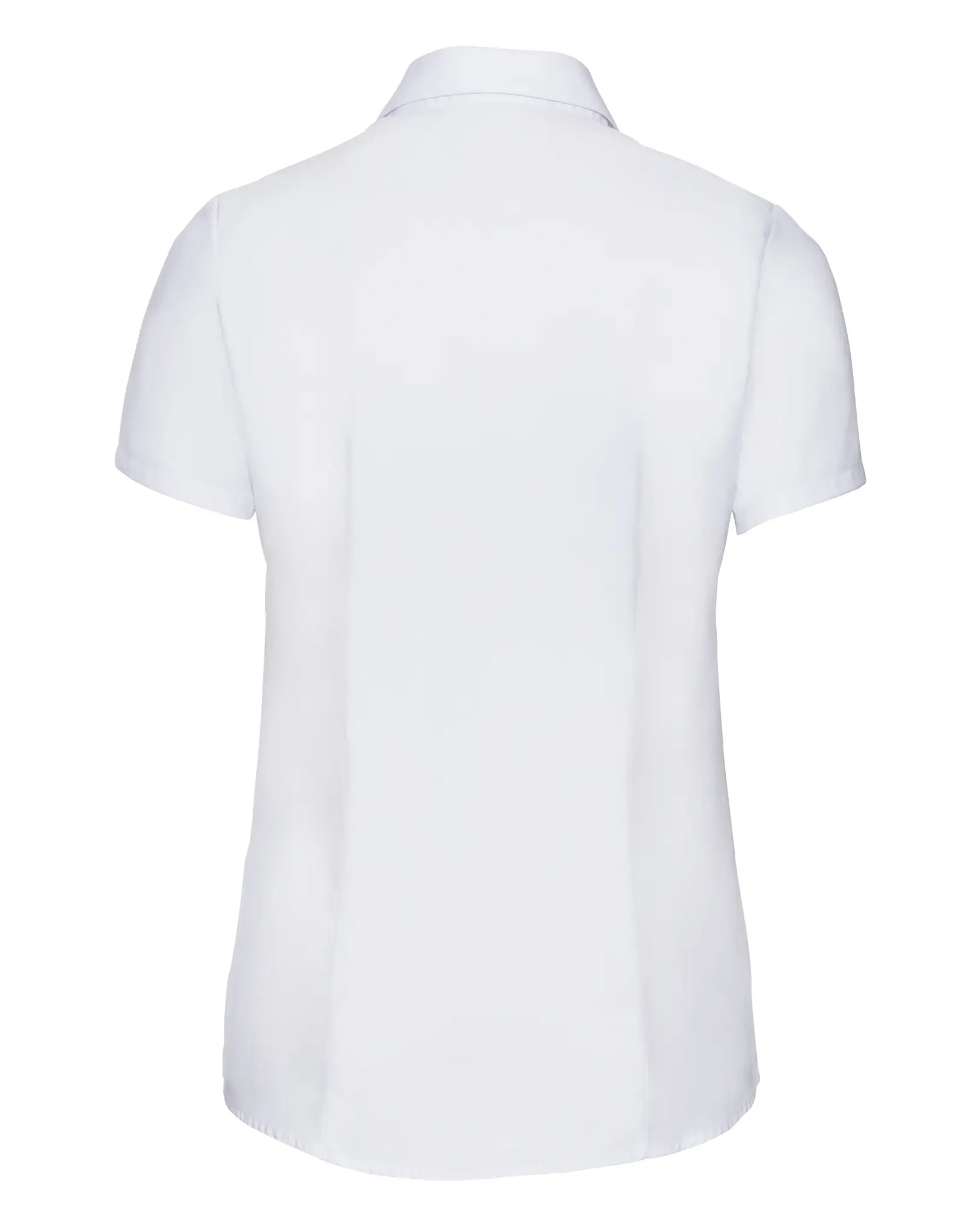 81aedc0a0d2507d68005dc8838d857dc