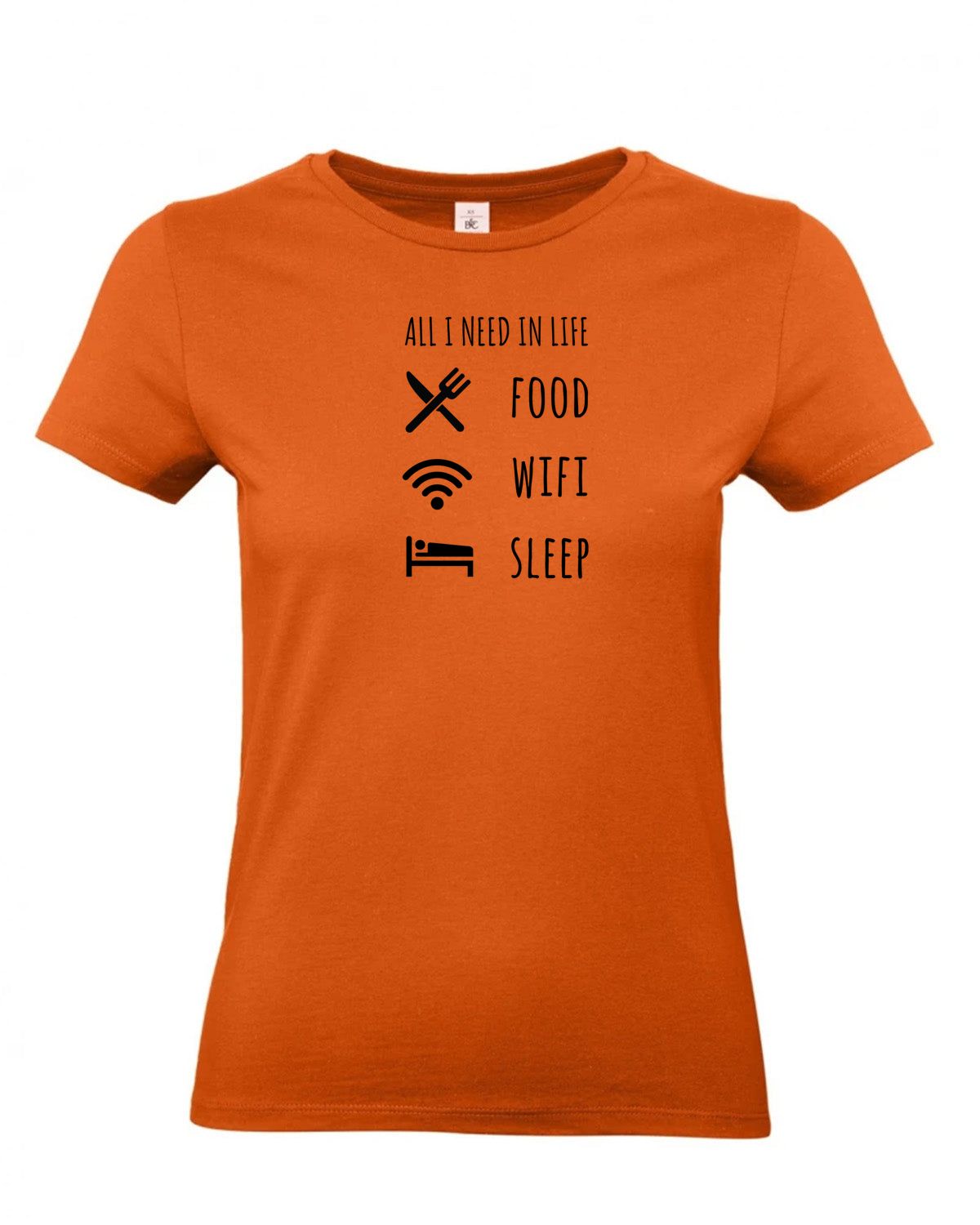 bundle-src:https://cdn.shopify.com/s/files/1/0946/1078/4639/files/TW04T_P_BC_231_01.jpg?v=1772459365