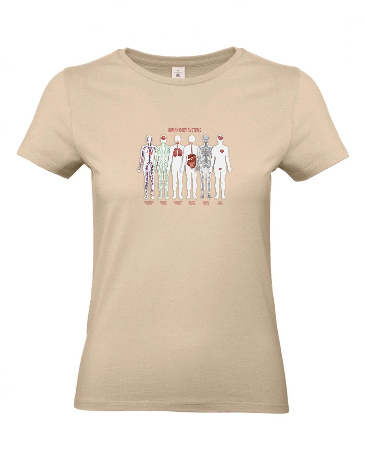 bundle-src:https://cdn.shopify.com/s/files/1/0946/1078/4639/files/TW04T_P_BC_120_01.jpg?v=1772459365