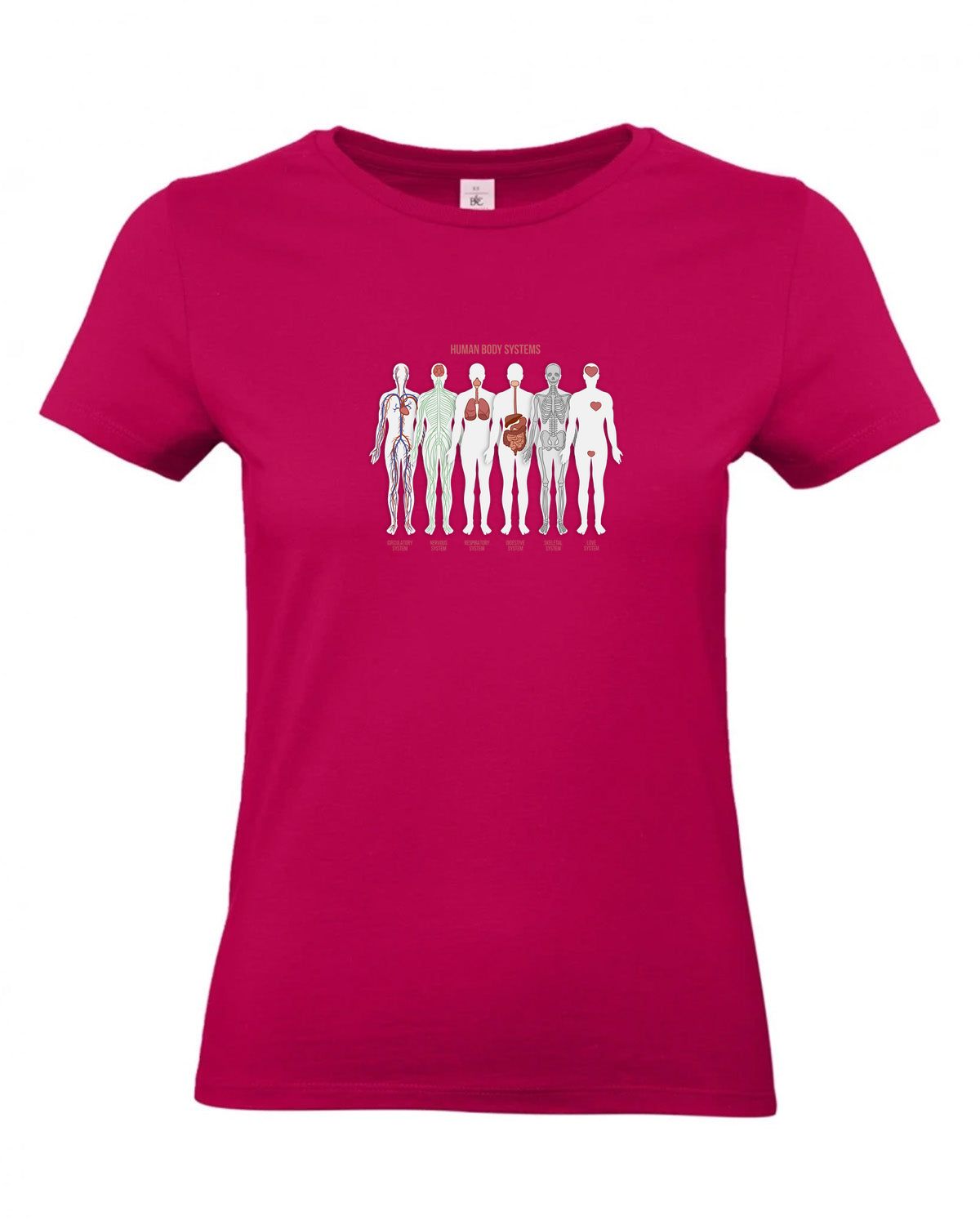 bundle-src:https://cdn.shopify.com/s/files/1/0946/1078/4639/files/TW04T_P_BC_311_01.jpg?v=1772459365