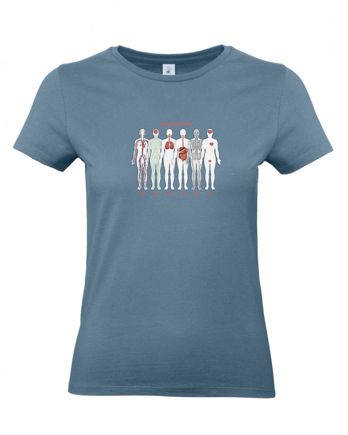 bundle-src:https://cdn.shopify.com/s/files/1/0946/1078/4639/files/TW04T_P_BC_460_01.jpg?v=1772459365