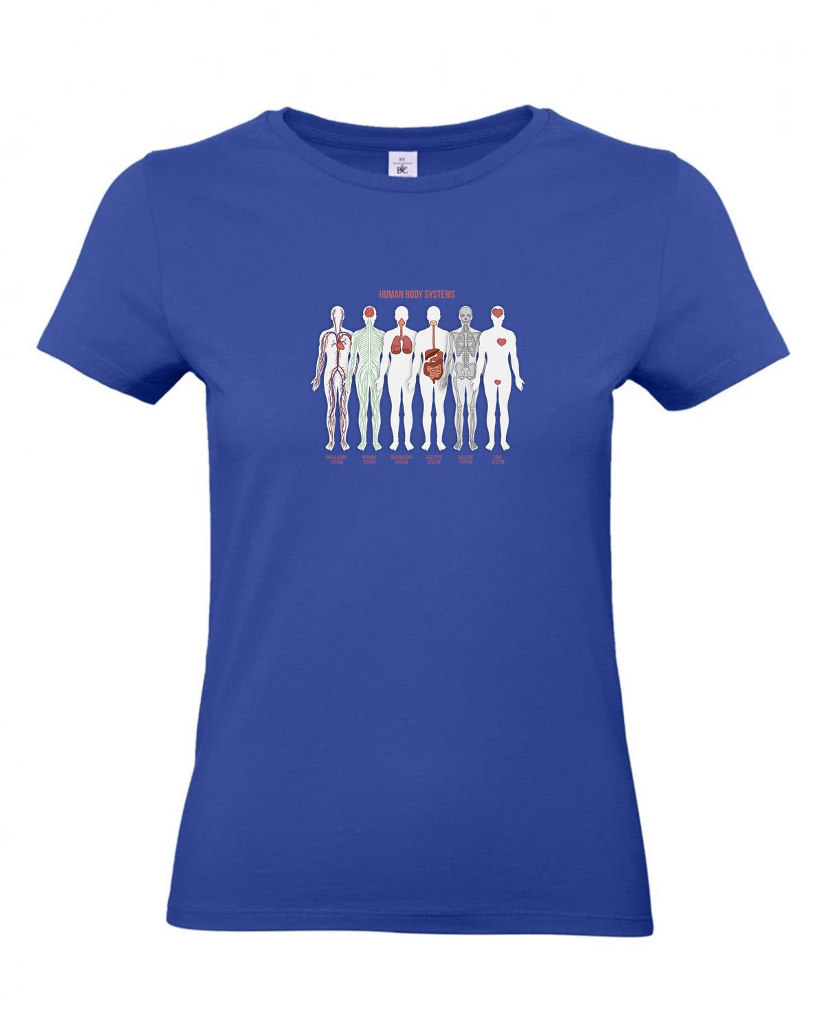 bundle-src:https://cdn.shopify.com/s/files/1/0946/1078/4639/files/TW04T_P_BC_008_01.jpg?v=1772459365