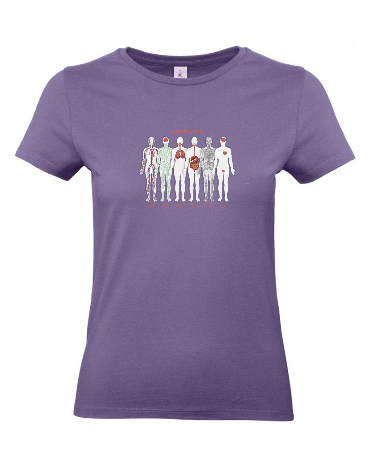 bundle-src:https://cdn.shopify.com/s/files/1/0946/1078/4639/files/TW04T_P_BC_341_01.jpg?v=1772459365