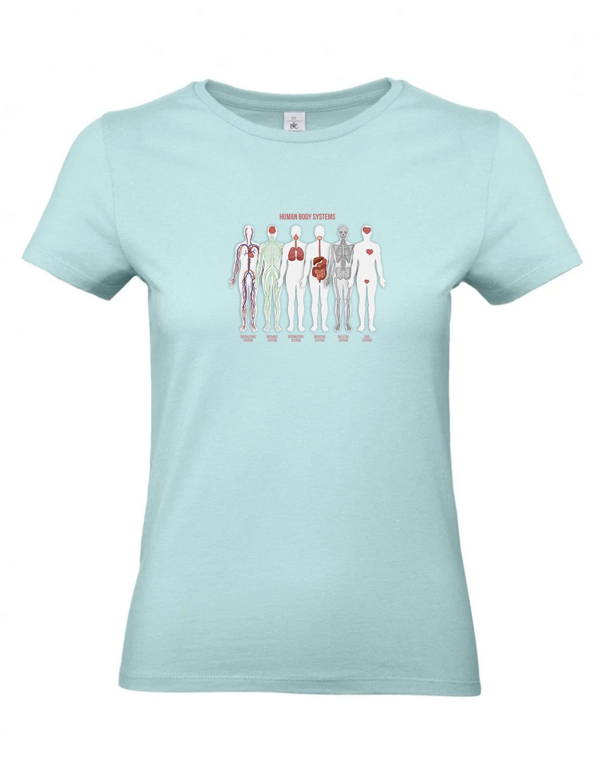 bundle-src:https://cdn.shopify.com/s/files/1/0946/1078/4639/files/TW04T_P_BC_509_01.jpg?v=1772459365