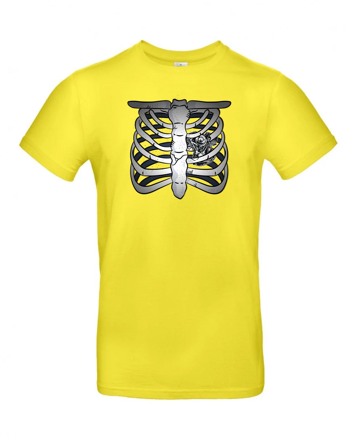 bundle-src:https://cdn.shopify.com/s/files/1/0946/1078/4639/files/TU03T_P_BC_201_01.jpg?v=1772523893