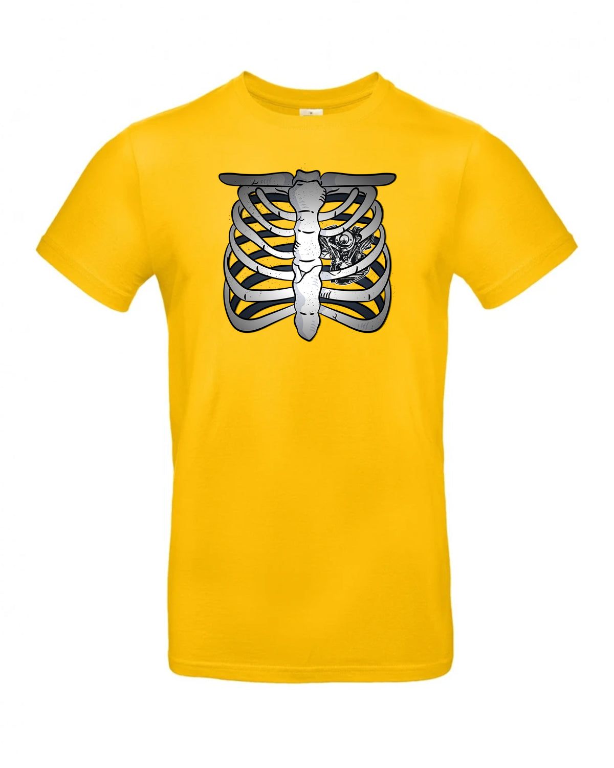 bundle-src:https://cdn.shopify.com/s/files/1/0946/1078/4639/files/TU03T_P_BC_210_01.jpg?v=1772523893