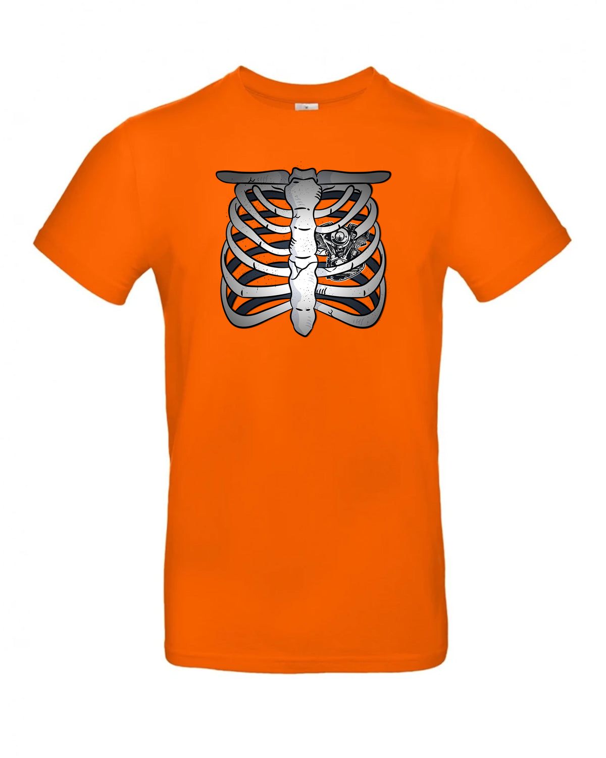 bundle-src:https://cdn.shopify.com/s/files/1/0946/1078/4639/files/TU03T_P_BC_235_01.jpg?v=1772523893