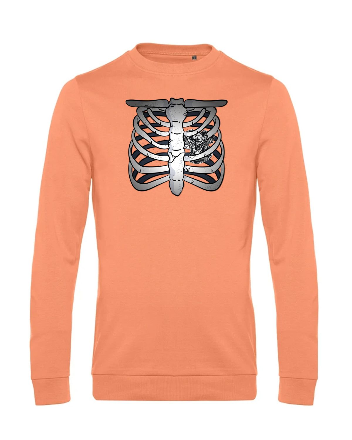 bundle-src:https://cdn.shopify.com/s/files/1/0946/1078/4639/files/WU01W_P_BC_255_01.jpg?v=1772633790