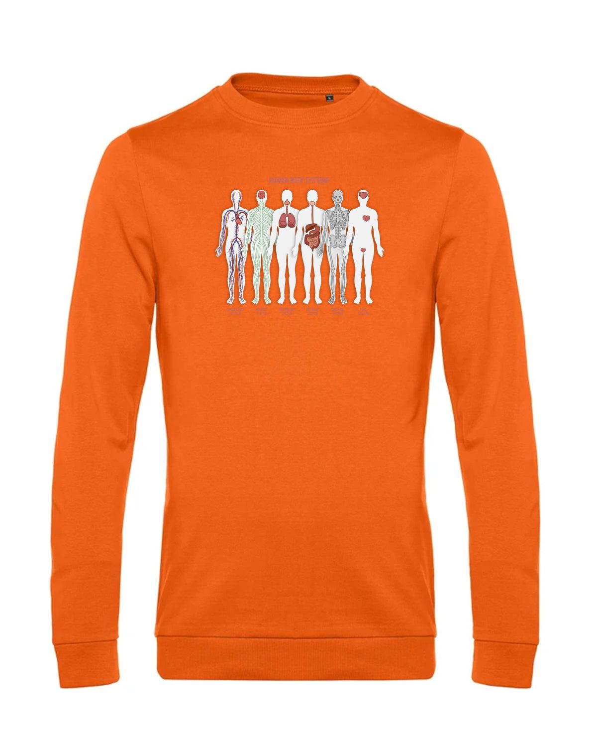 bundle-src:https://cdn.shopify.com/s/files/1/0946/1078/4639/files/WU01W_P_BC_233_01.jpg?v=1772633790