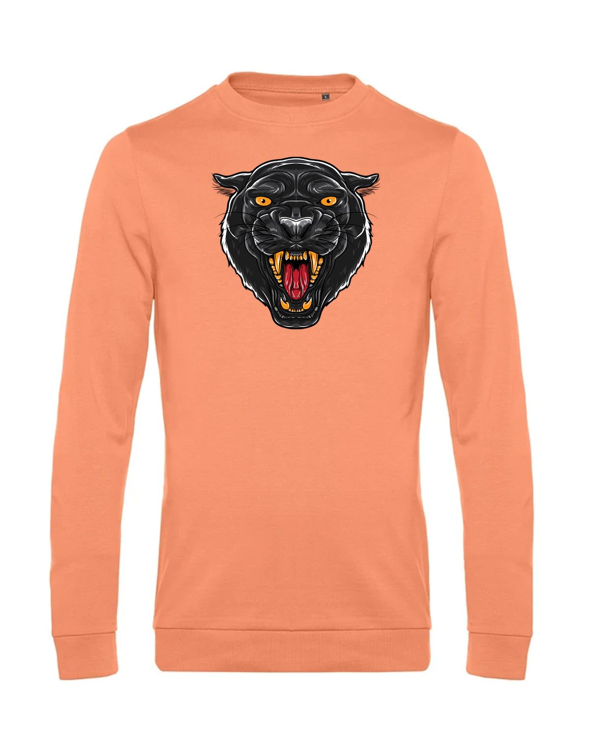 bundle-src:https://cdn.shopify.com/s/files/1/0946/1078/4639/files/WU01W_P_BC_255_01.jpg?v=1772633790