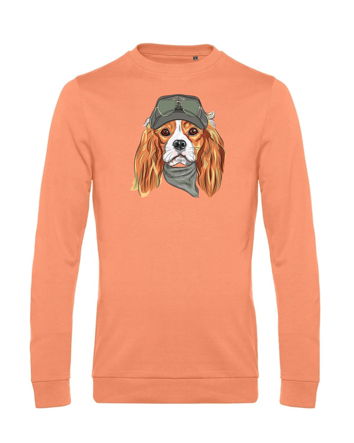 bundle-src:https://cdn.shopify.com/s/files/1/0946/1078/4639/files/WU01W_P_BC_255_01.jpg?v=1772633790