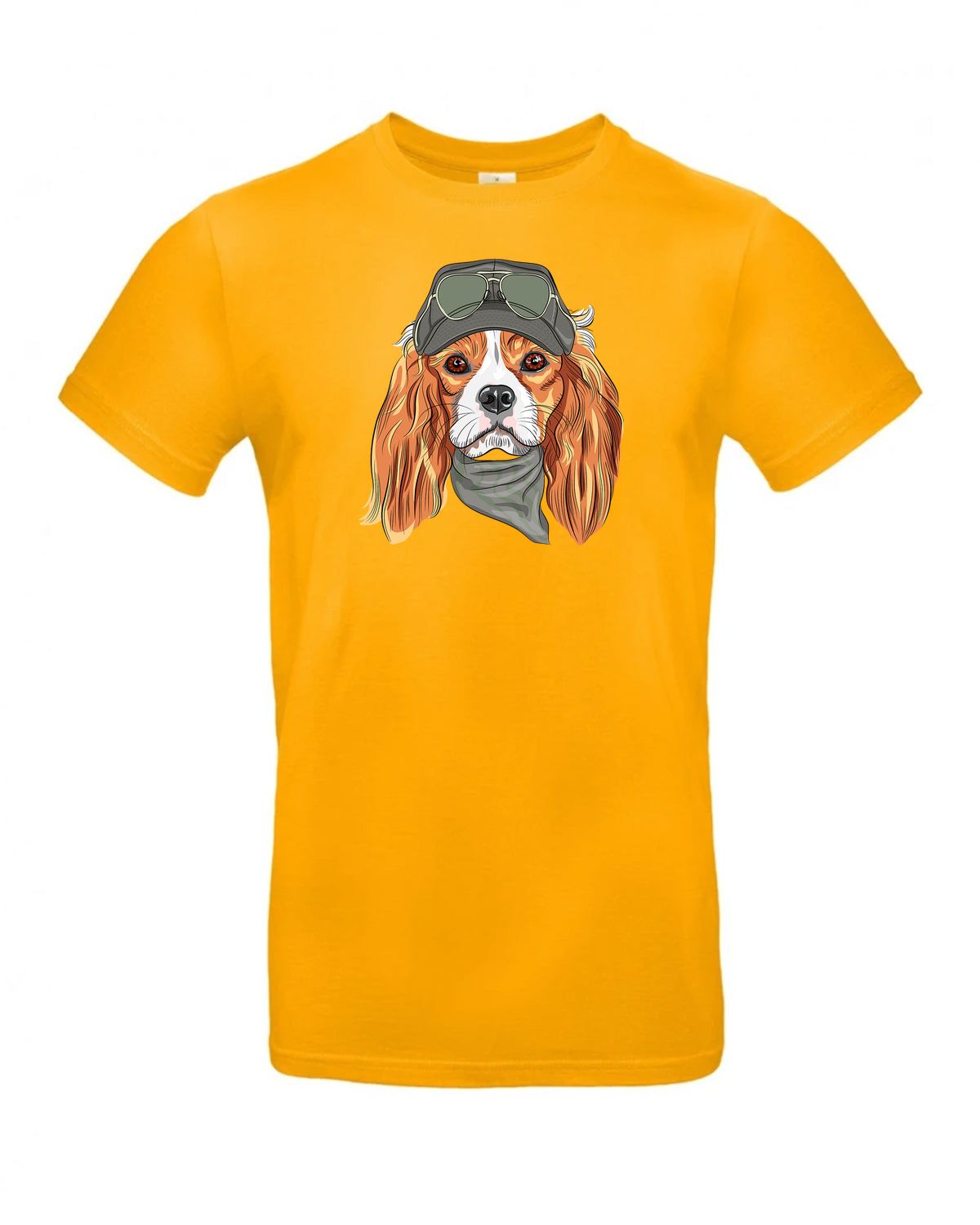 bundle-src:https://cdn.shopify.com/s/files/1/0946/1078/4639/files/TU03T_P_BC_220_01.jpg?v=1772523893