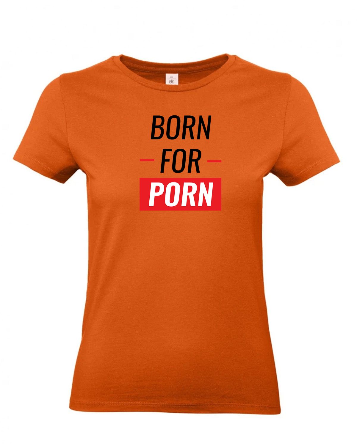 bundle-src:https://cdn.shopify.com/s/files/1/0946/1078/4639/files/TW04T_P_BC_231_01.jpg?v=1772459365