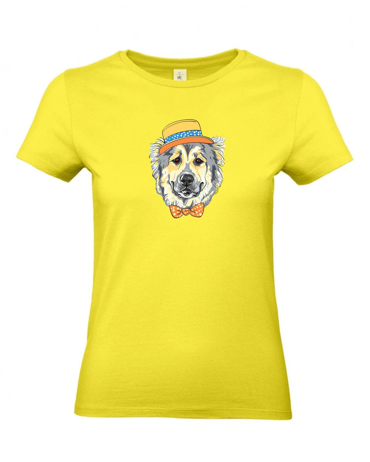 bundle-src:https://cdn.shopify.com/s/files/1/0946/1078/4639/files/TW04T_P_BC_201_01.jpg?v=1772459365