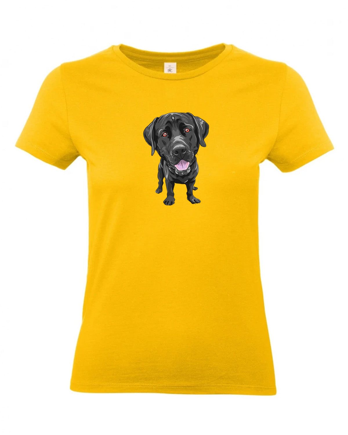 bundle-src:https://cdn.shopify.com/s/files/1/0946/1078/4639/files/TW04T_P_BC_210_01.jpg?v=1772459365