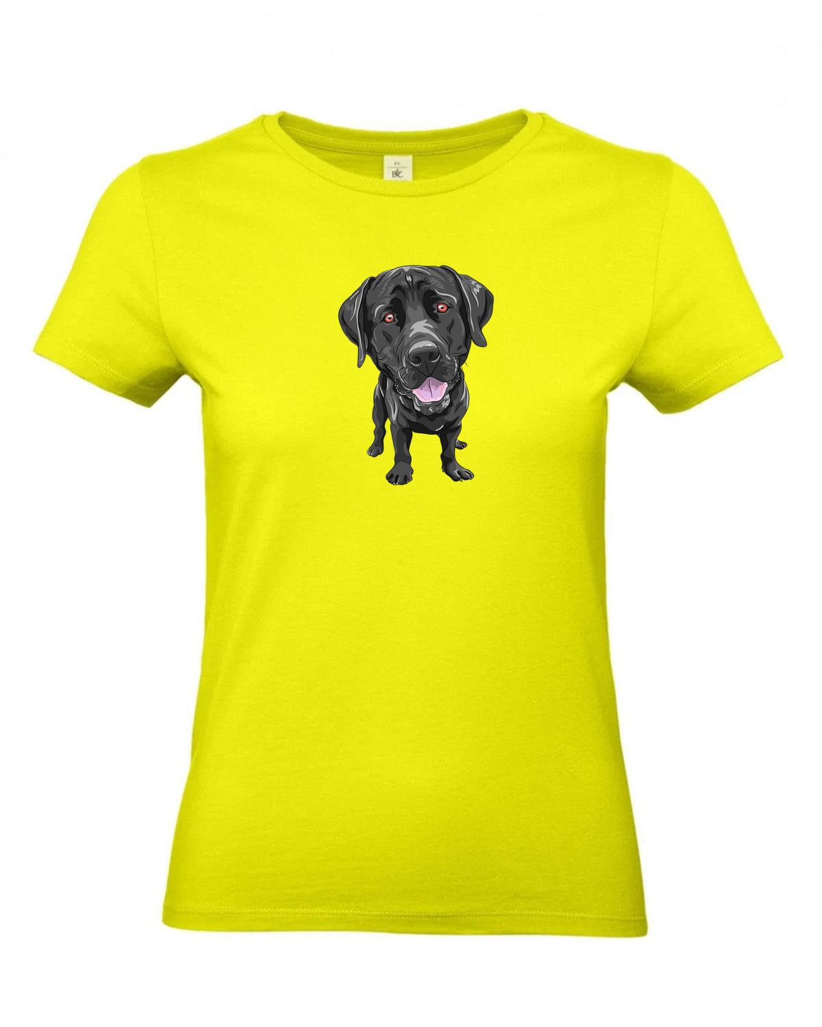 bundle-src:https://cdn.shopify.com/s/files/1/0946/1078/4639/files/TW04T_P_BC_986_01.jpg?v=1772459365