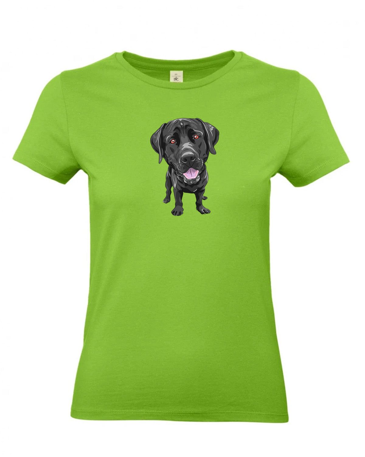 bundle-src:https://cdn.shopify.com/s/files/1/0946/1078/4639/files/TW04T_P_BC_511_01.jpg?v=1772459365