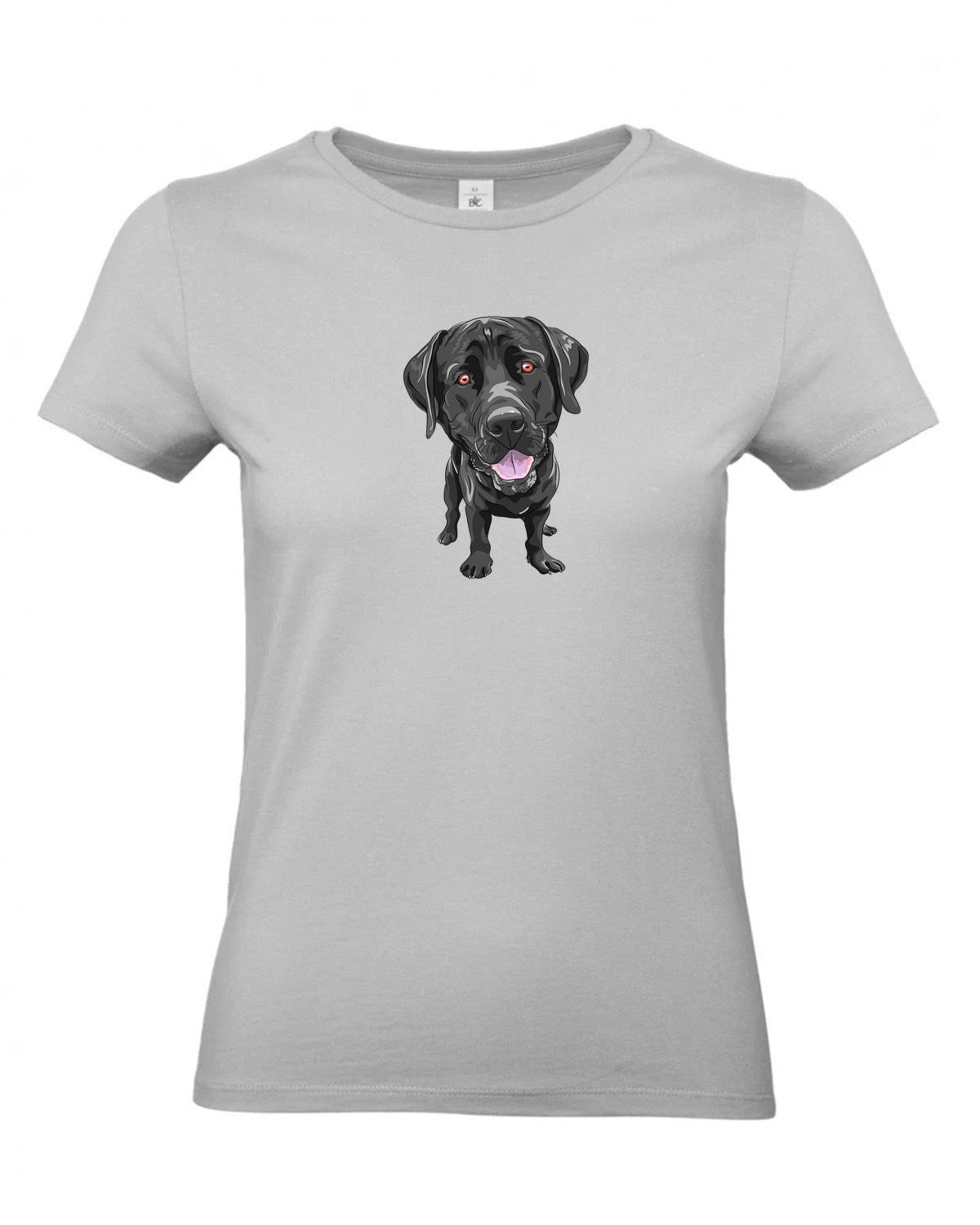 bundle-src:https://cdn.shopify.com/s/files/1/0946/1078/4639/files/TW04T_P_BC_874_01.jpg?v=1772459365