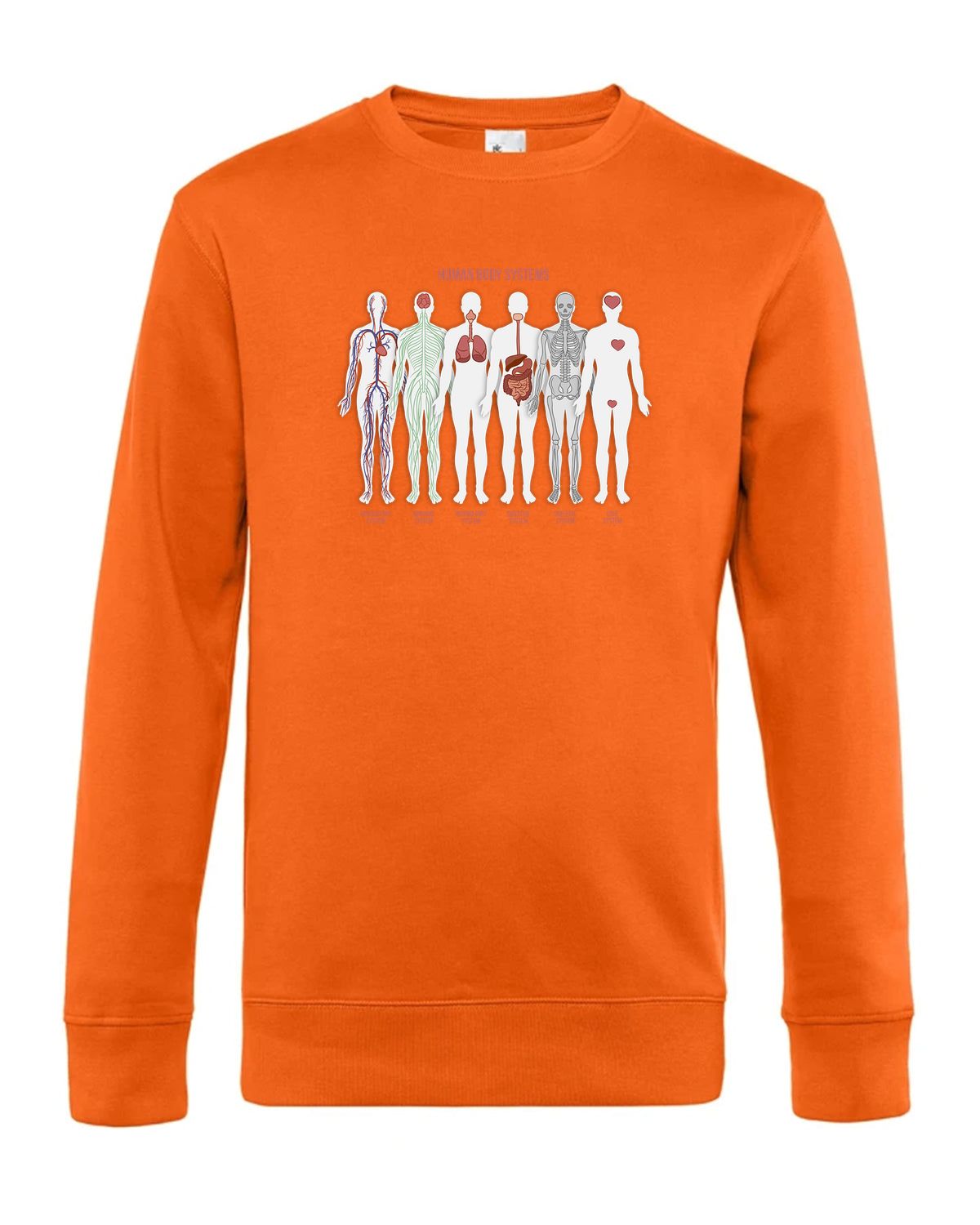 bundle-src:https://cdn.shopify.com/s/files/1/0946/1078/4639/files/WU01K_P_BC_233_01.jpg?v=1773063264