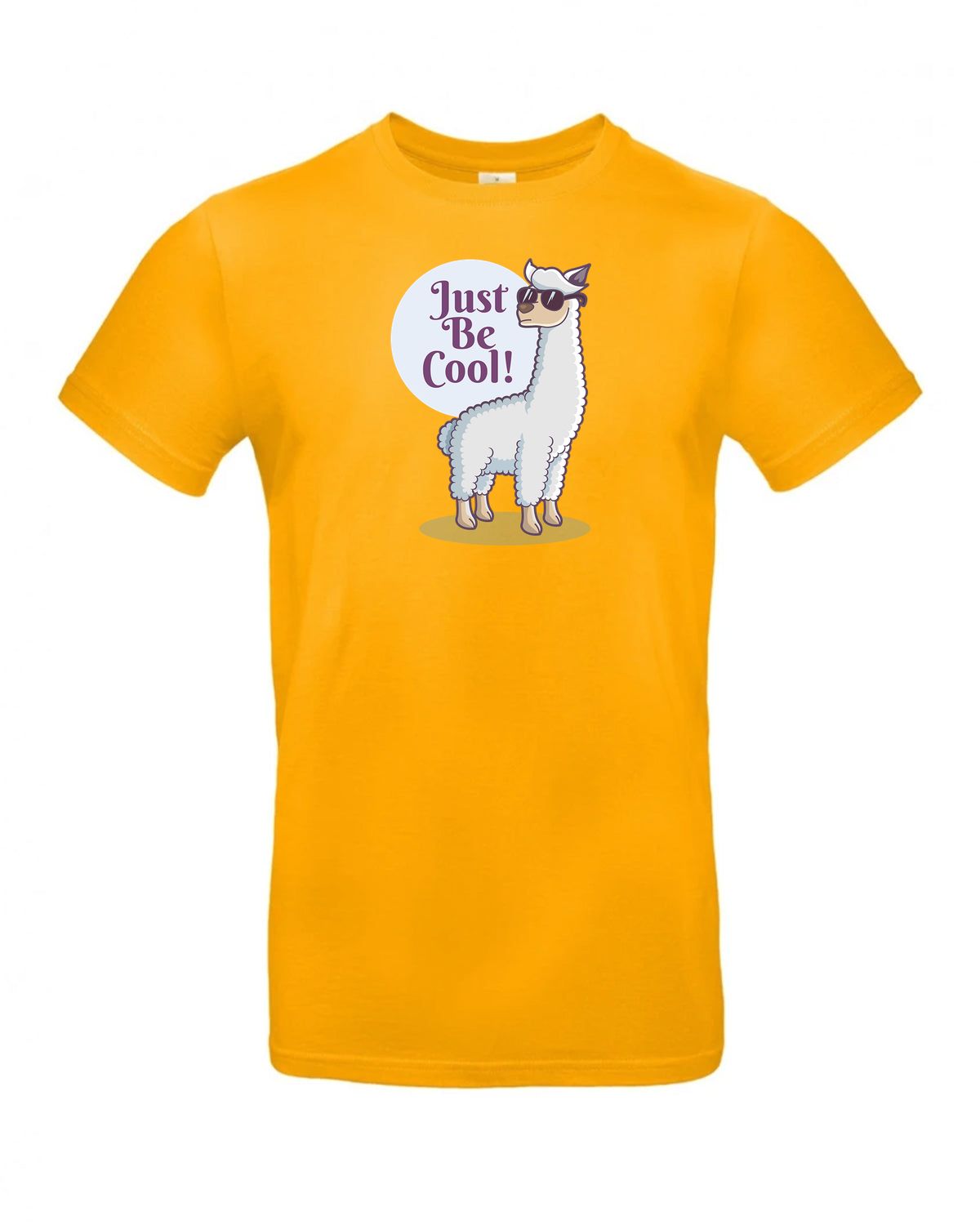 bundle-src:https://cdn.shopify.com/s/files/1/0946/1078/4639/files/TU03T_P_BC_220_01.jpg?v=1772523893