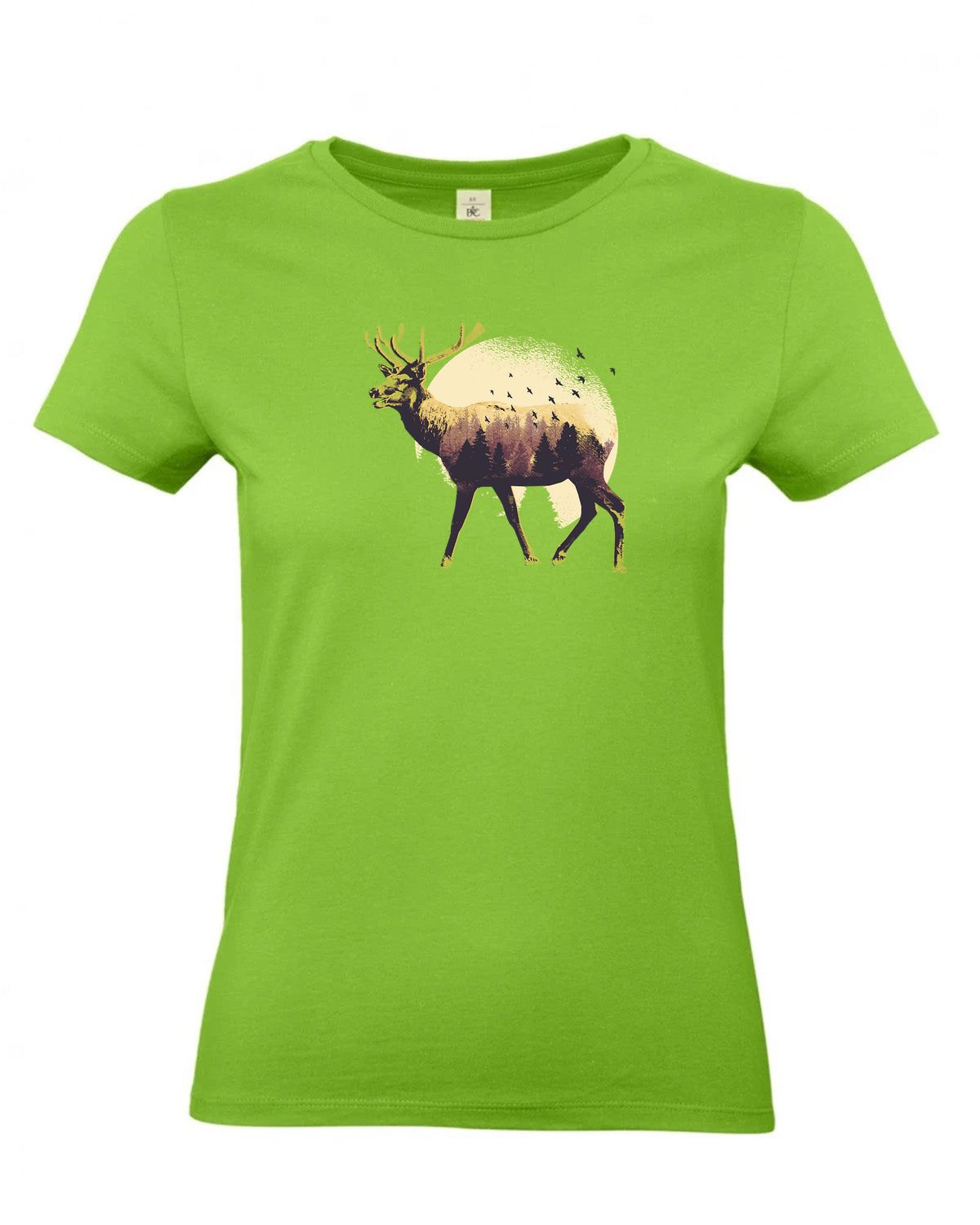 bundle-src:https://cdn.shopify.com/s/files/1/0946/1078/4639/files/TW04T_P_BC_511_01.jpg?v=1772459365