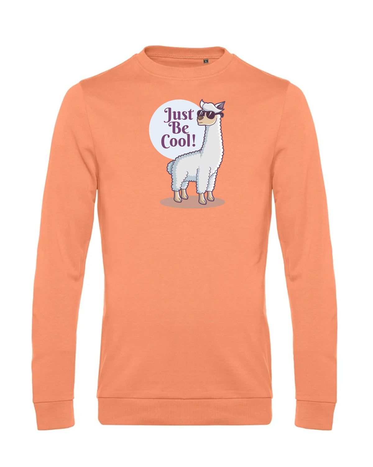 bundle-src:https://cdn.shopify.com/s/files/1/0946/1078/4639/files/WU01W_P_BC_255_01.jpg?v=1772633790