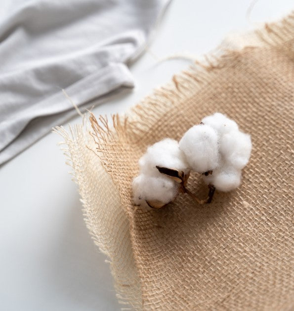 To the Roots of Respect