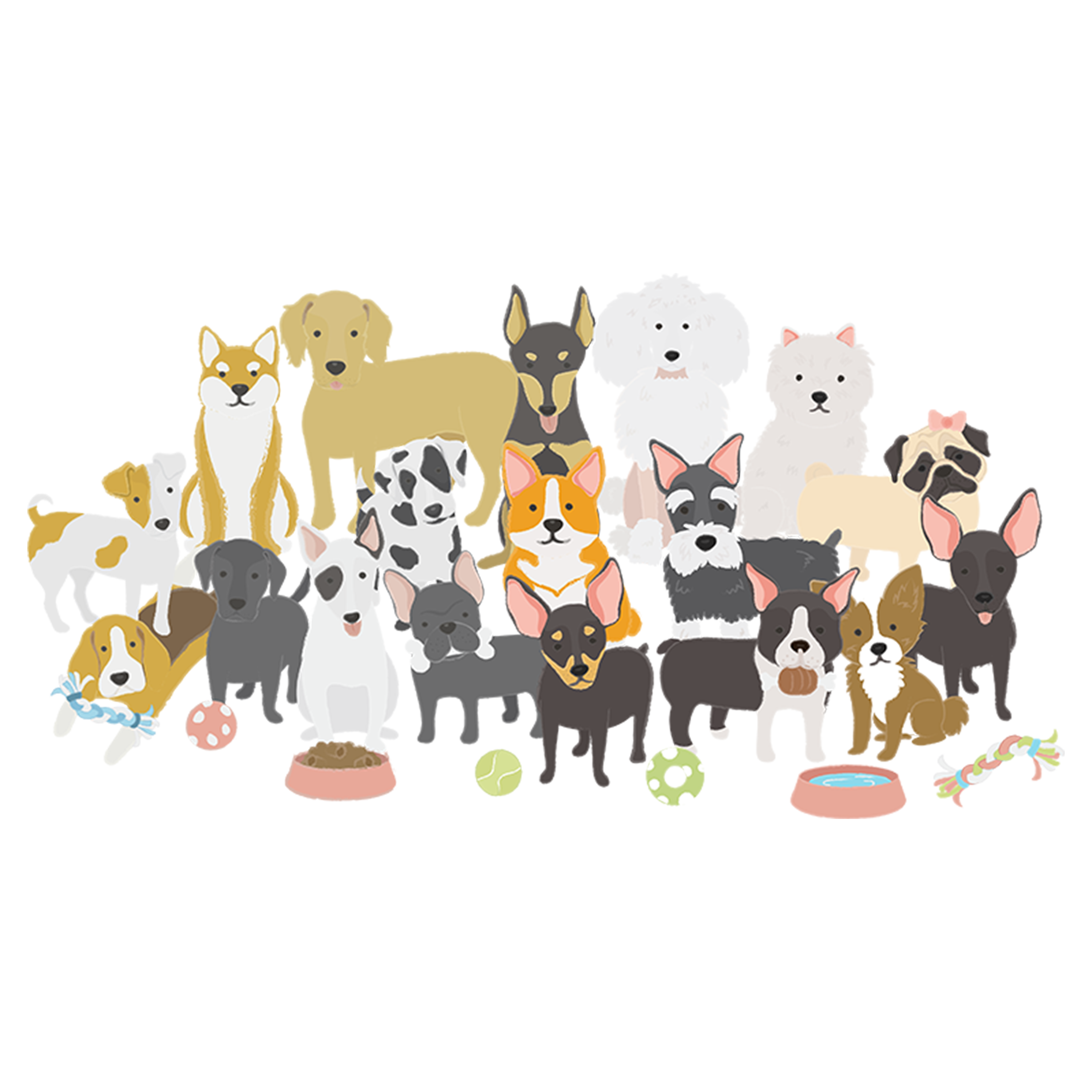 Dog s family