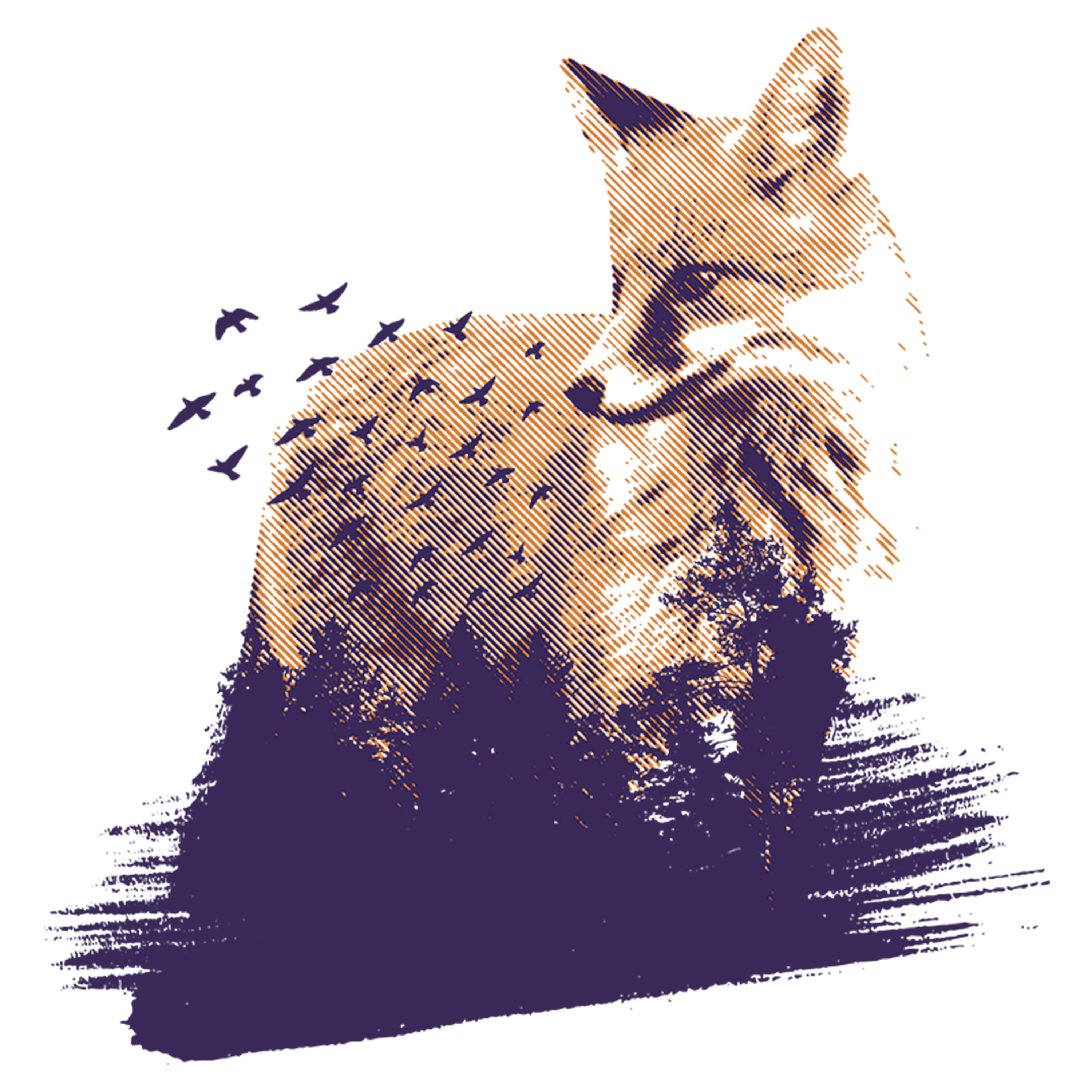 Wild fox forest