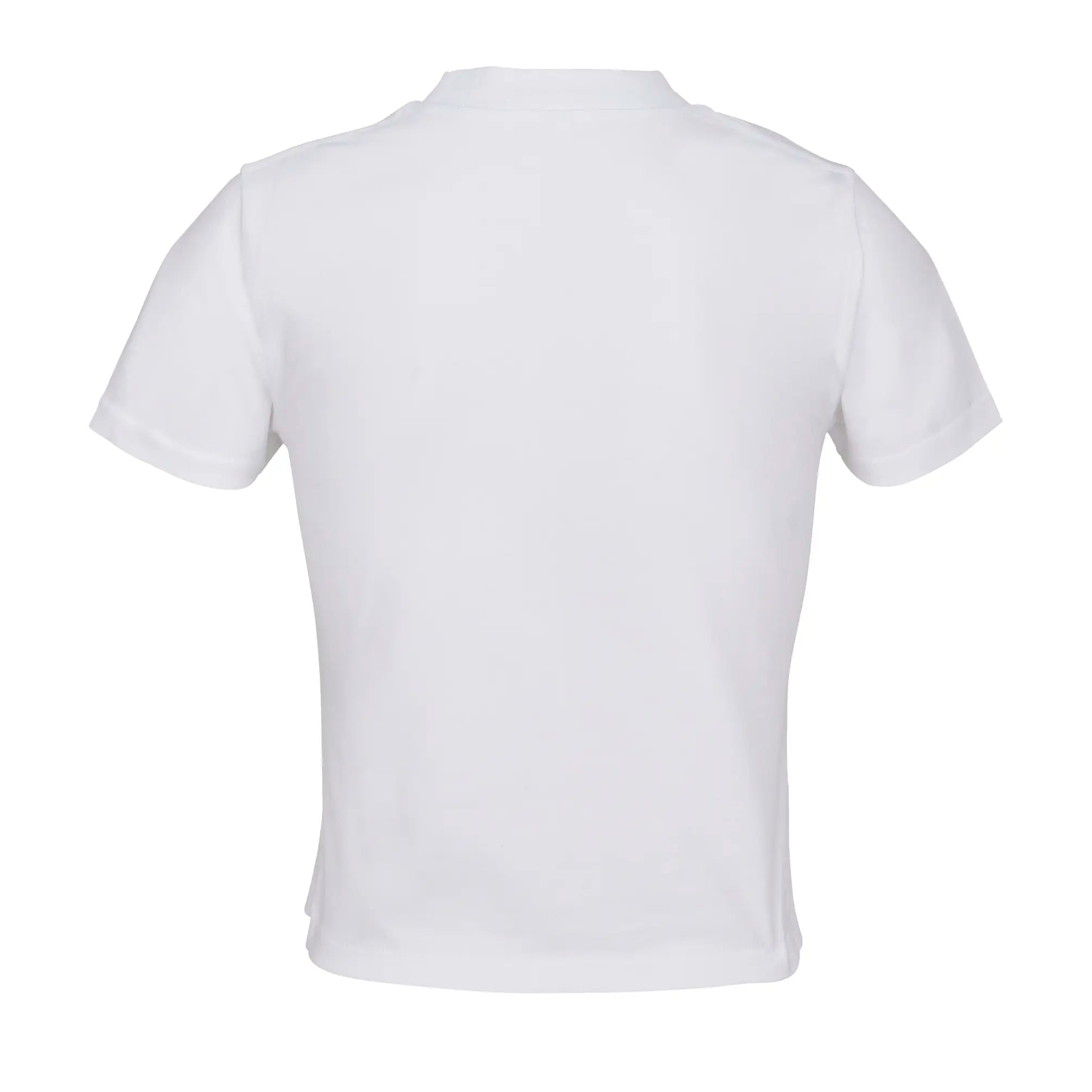 47580d0c511f69254fd7635c3a10c995