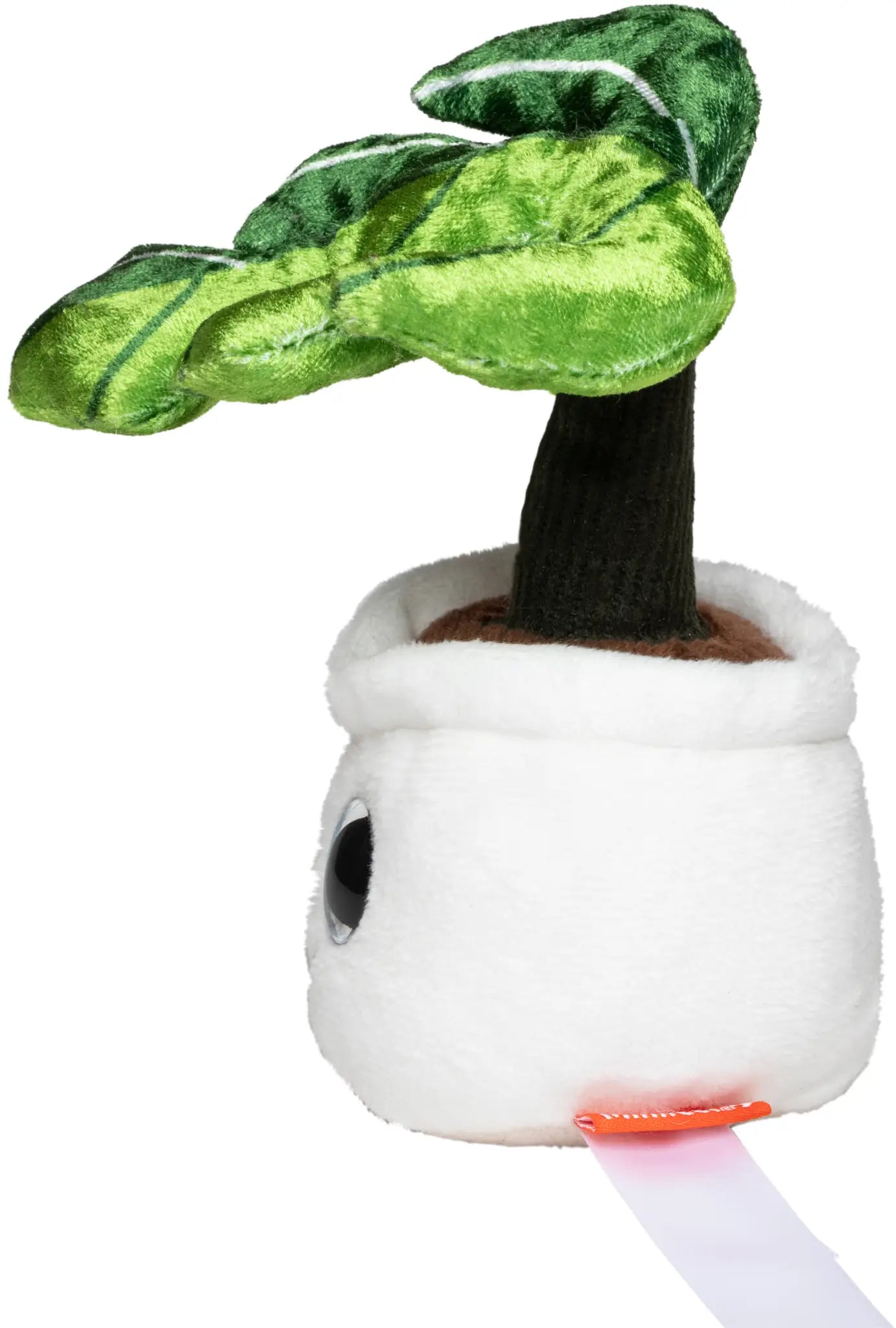 a6a6b28d5d84c02150f6dacc5665f519