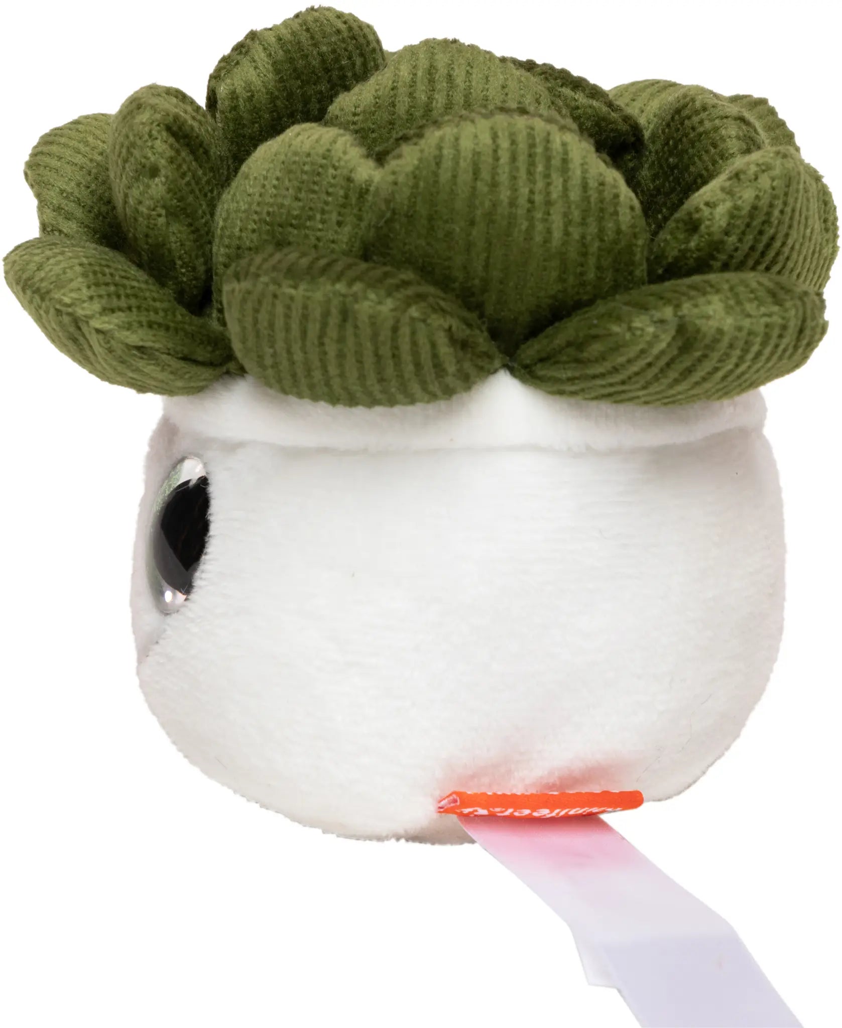 96600d74ecd6894b4f80d2f12f54f6ca