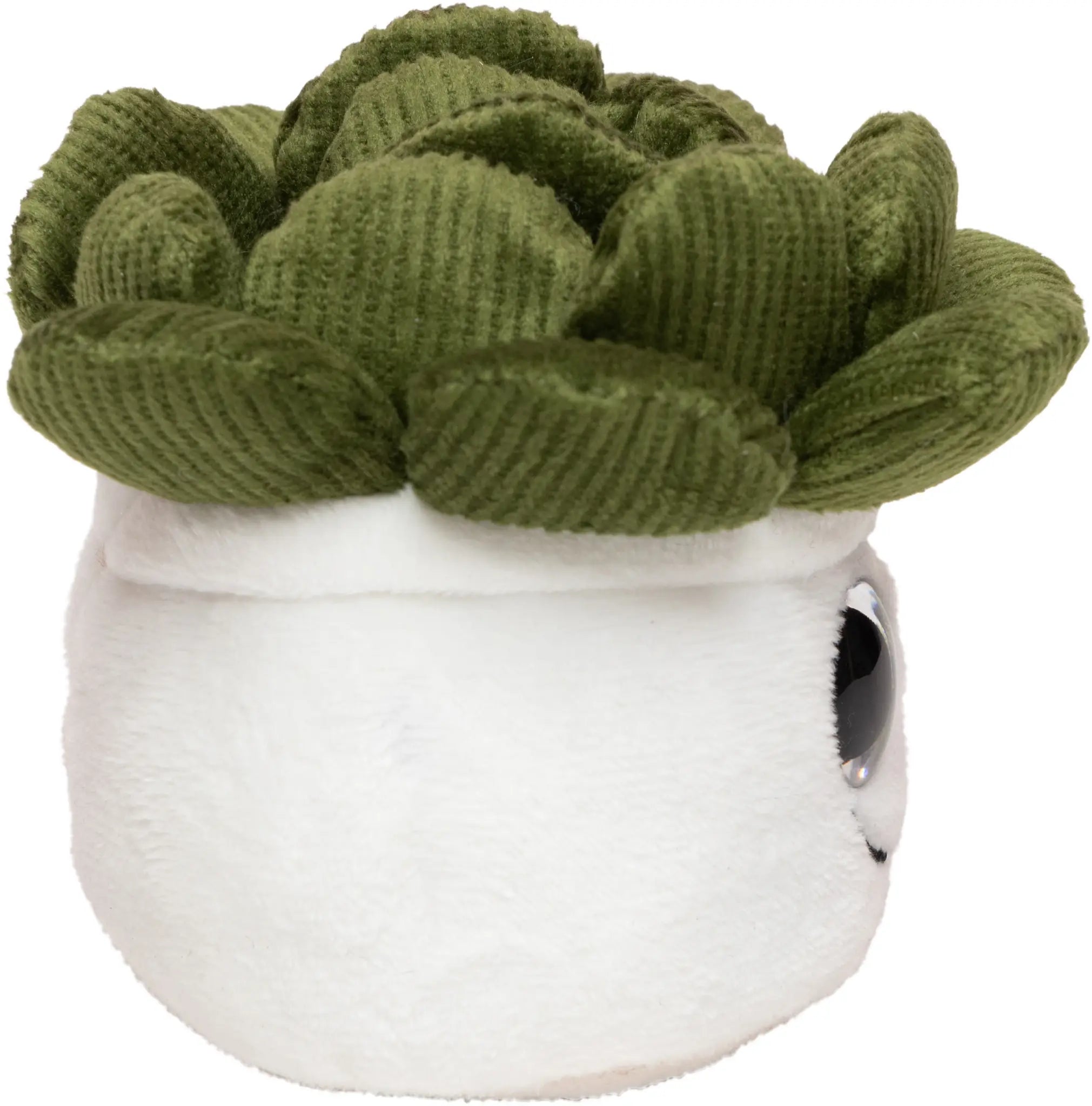 4323a1196c90edecf4a431d06287f0f7