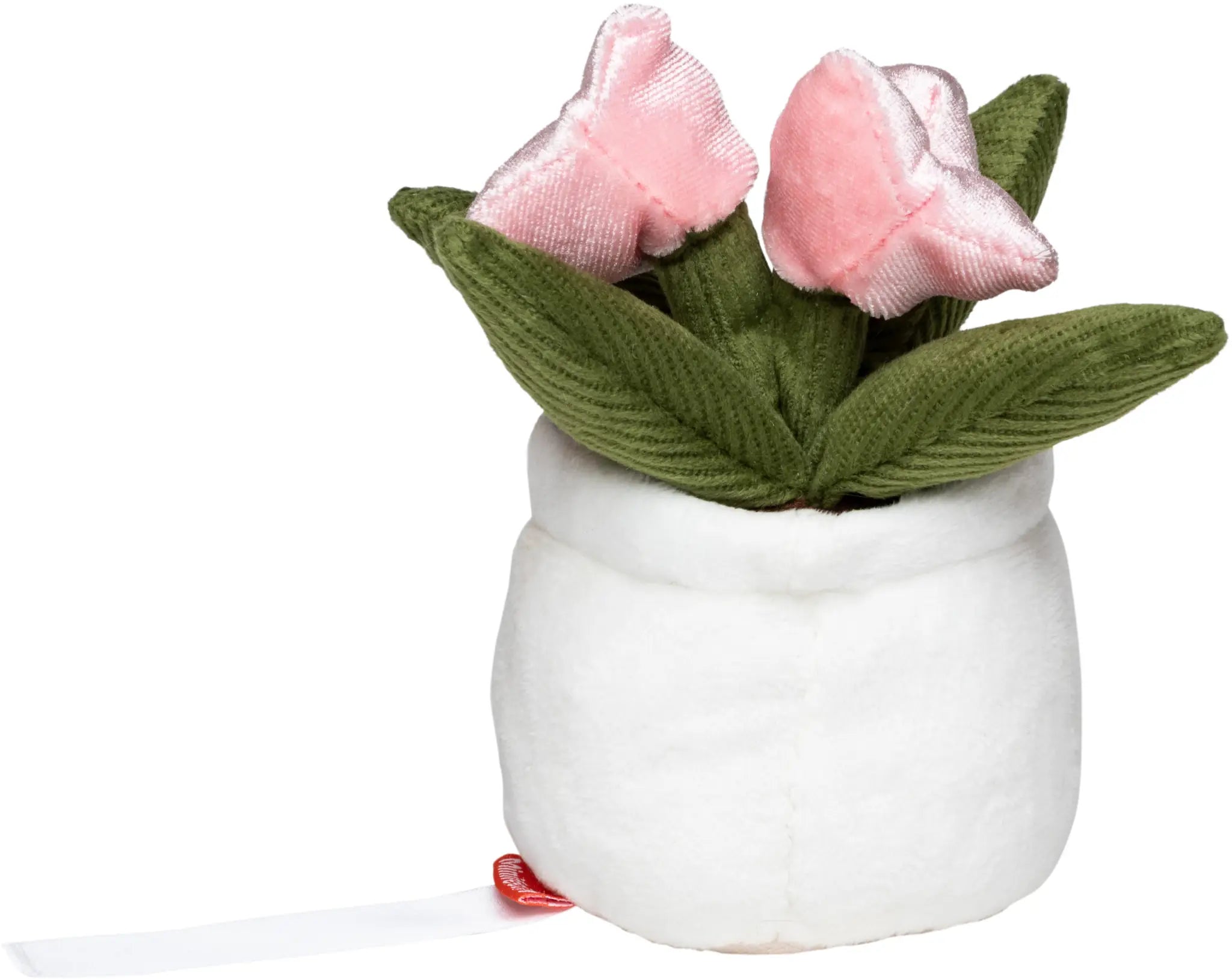 d48c50c587dbd69dca0d62a765ba8cbe