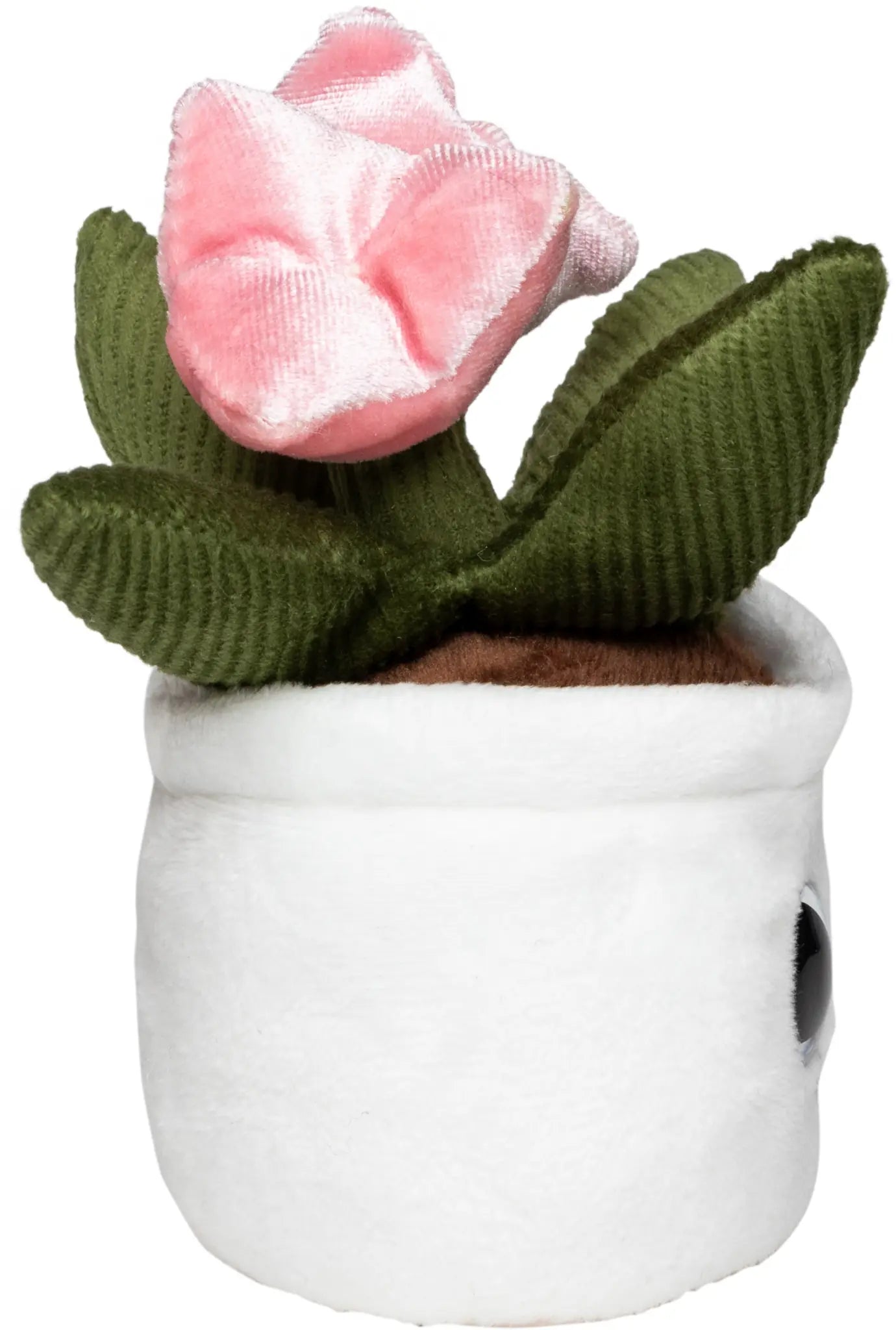 cf43e8116a1541822c608833115c3e96