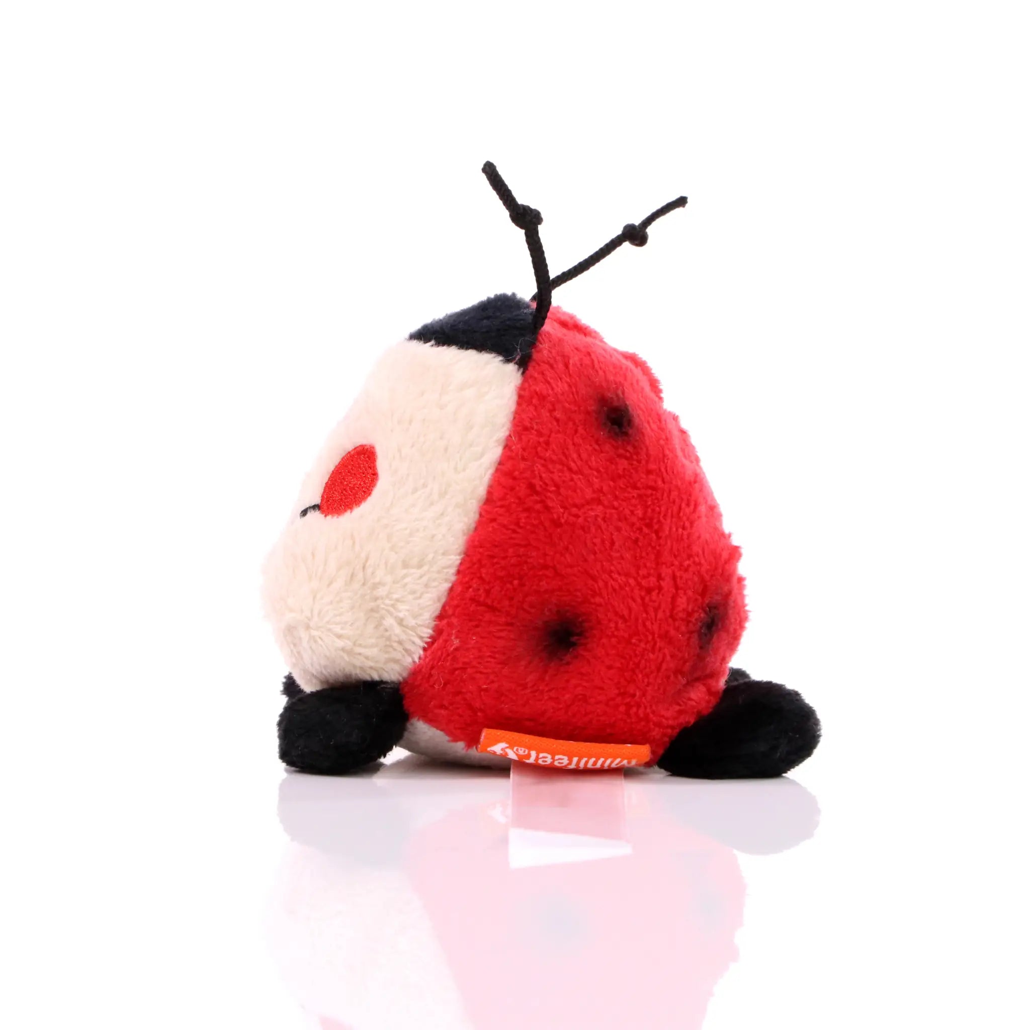 ca13f37cc76c003921fa66a71497fef5