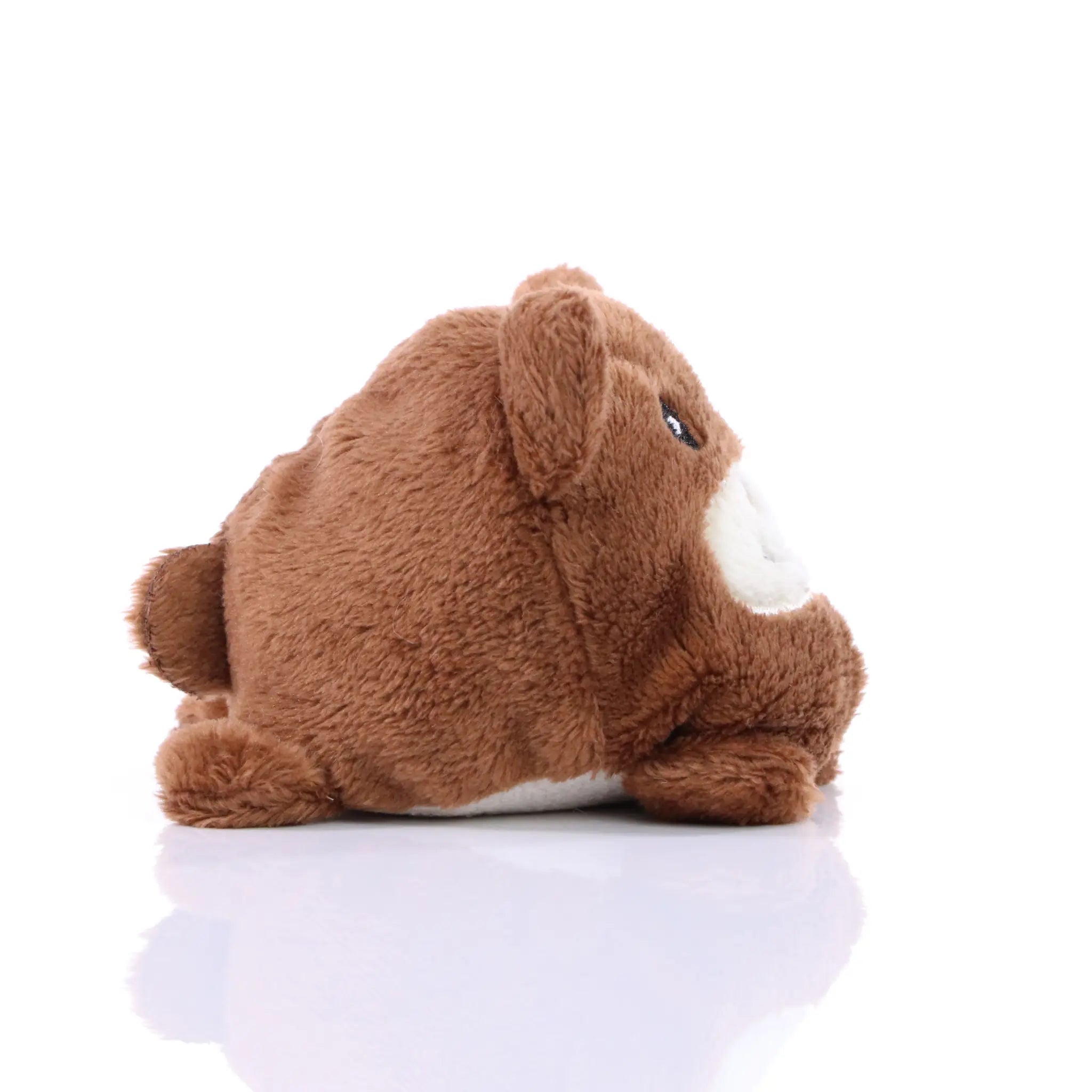 7ed4f1962ed3d72786cfab19338d9012