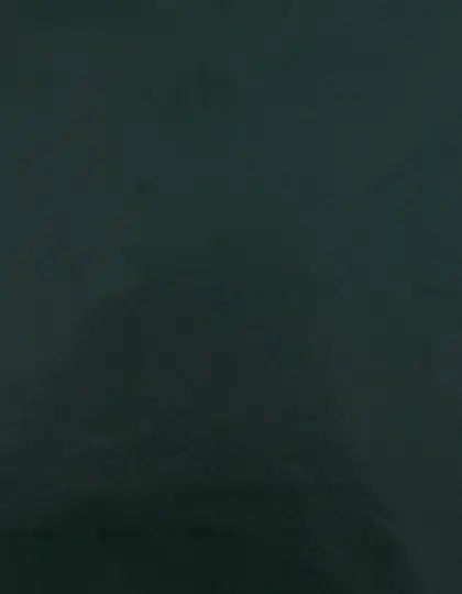 ee005dc0a45f3233206048a3a6a291ca