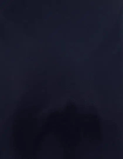 98580d0de874bd5aa5b170fcc27bb649