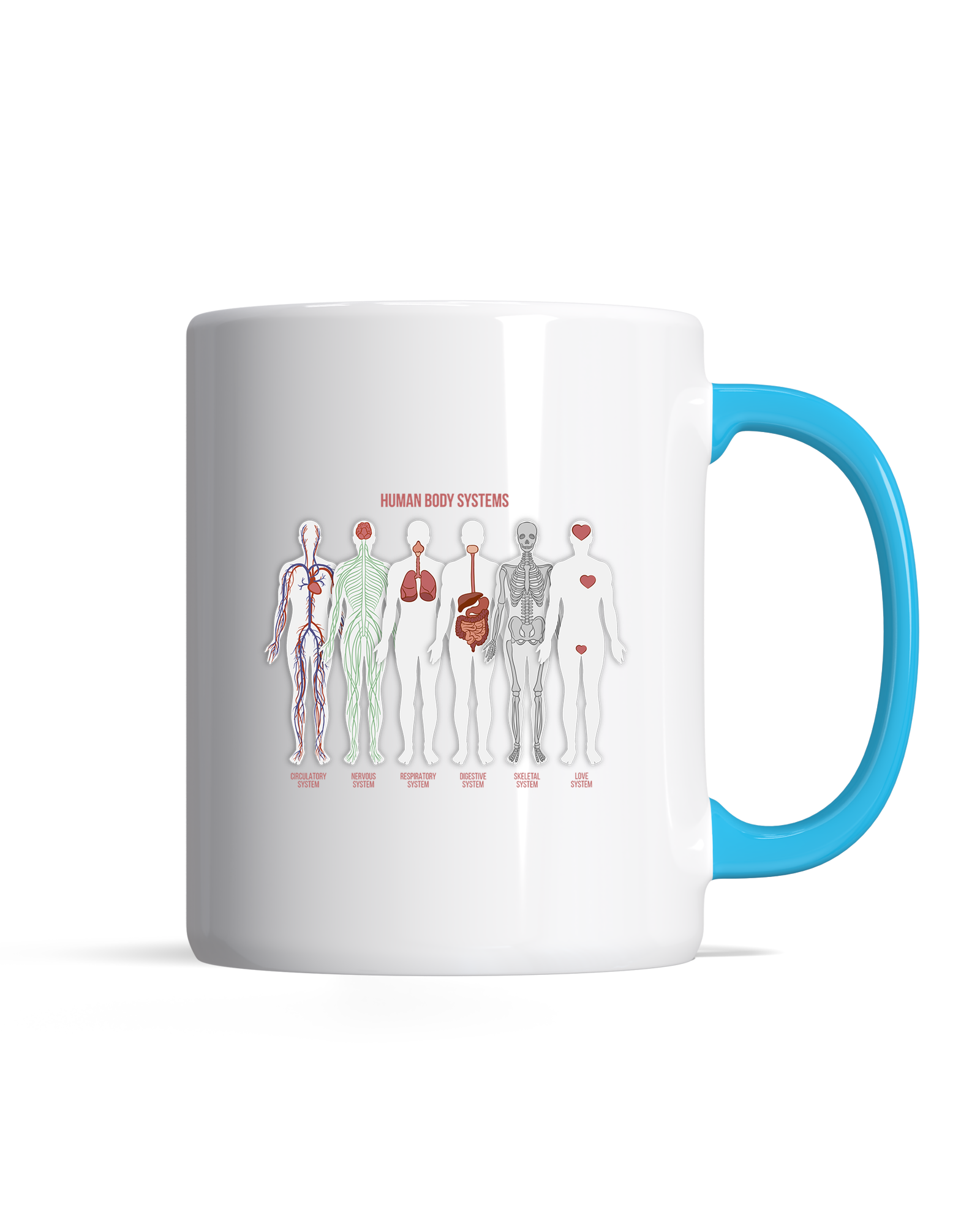 bundle-src:https://cdn.shopify.com/s/files/1/0946/1078/4639/files/Premiummuglightblue.png?v=1772098849