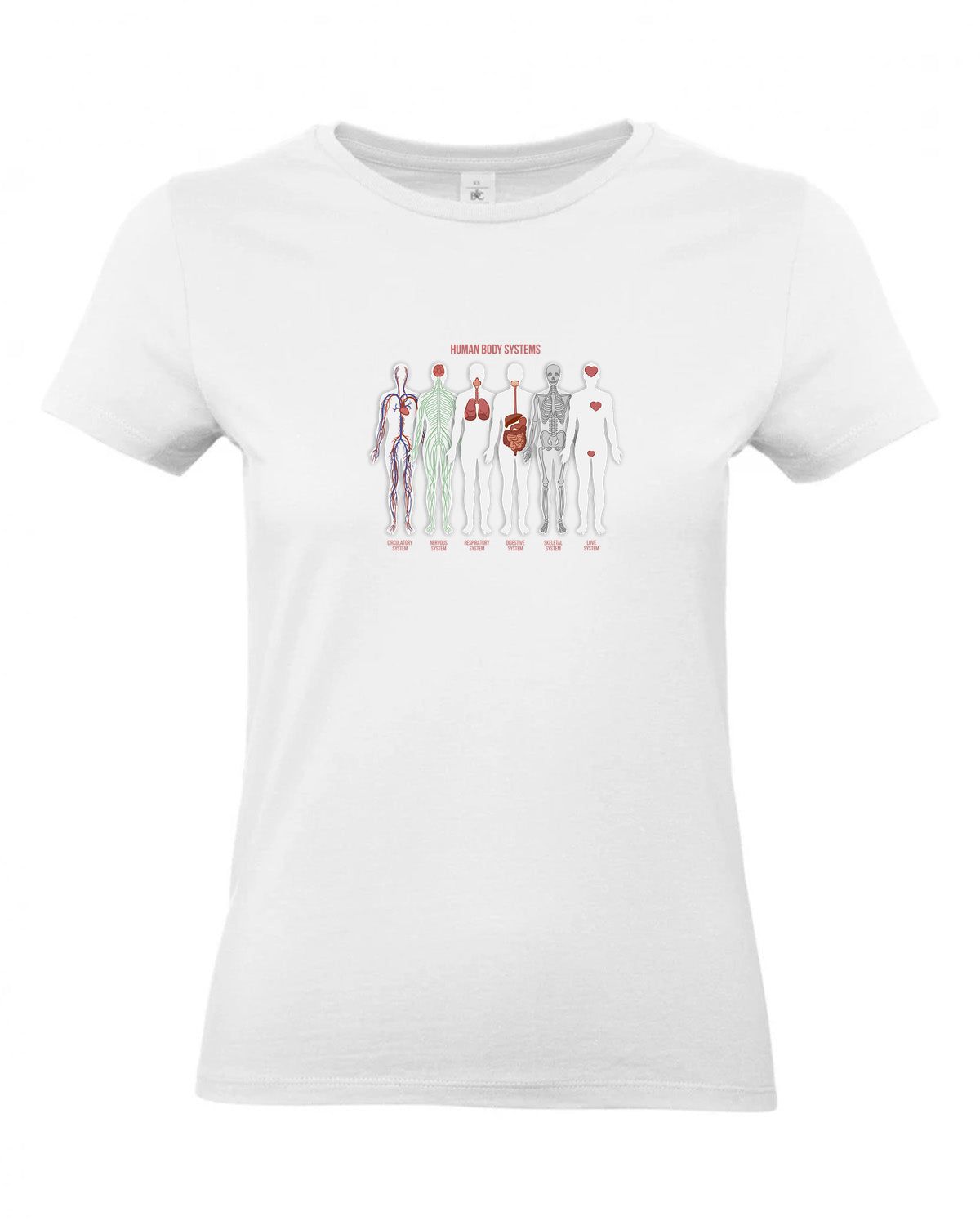 bundle-src:https://cdn.shopify.com/s/files/1/0946/1078/4639/files/TW04T_P_BC_001_01.jpg?v=1772459365