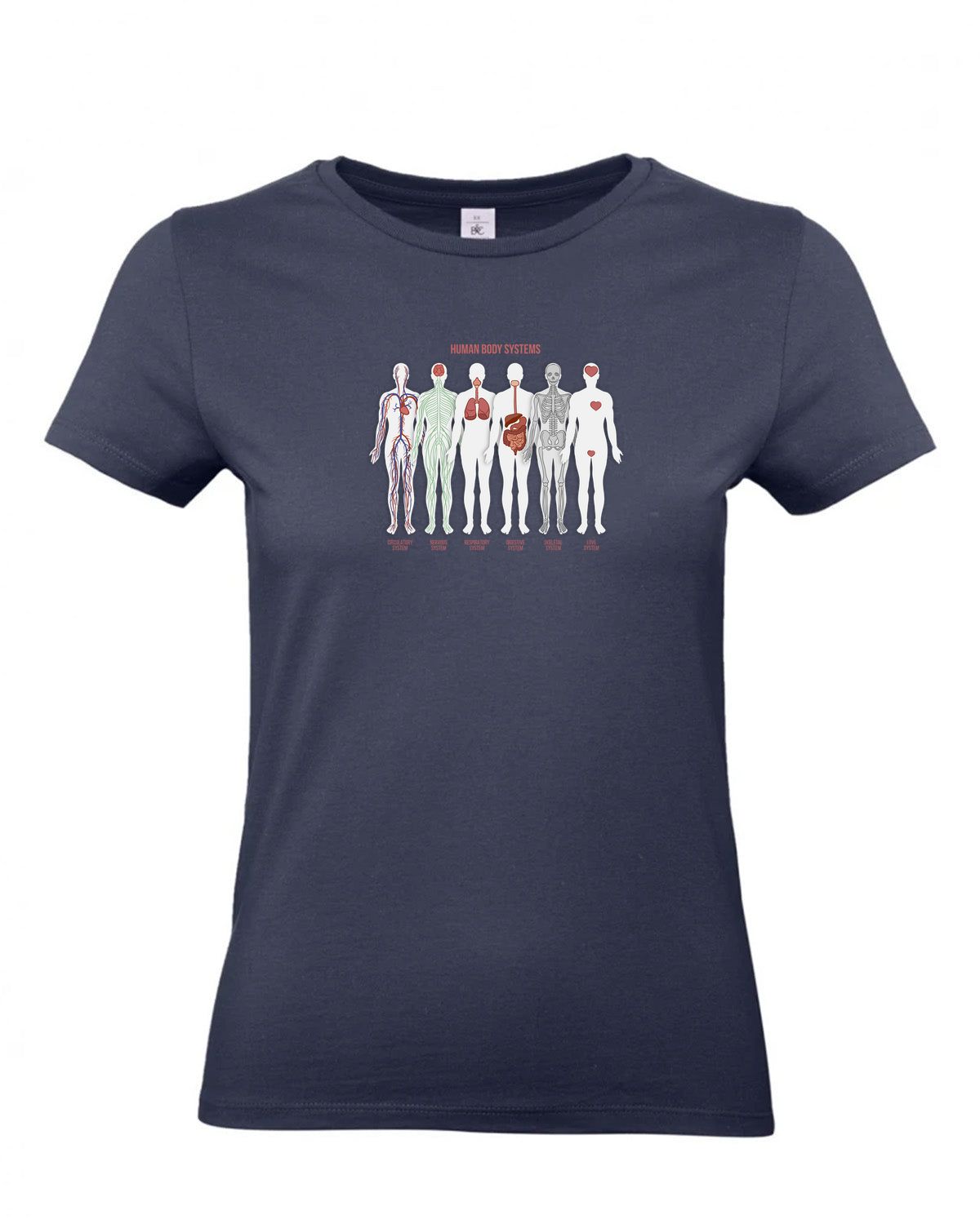 bundle-src:https://cdn.shopify.com/s/files/1/0946/1078/4639/files/TW04T_P_BC_006_01.jpg?v=1772459365