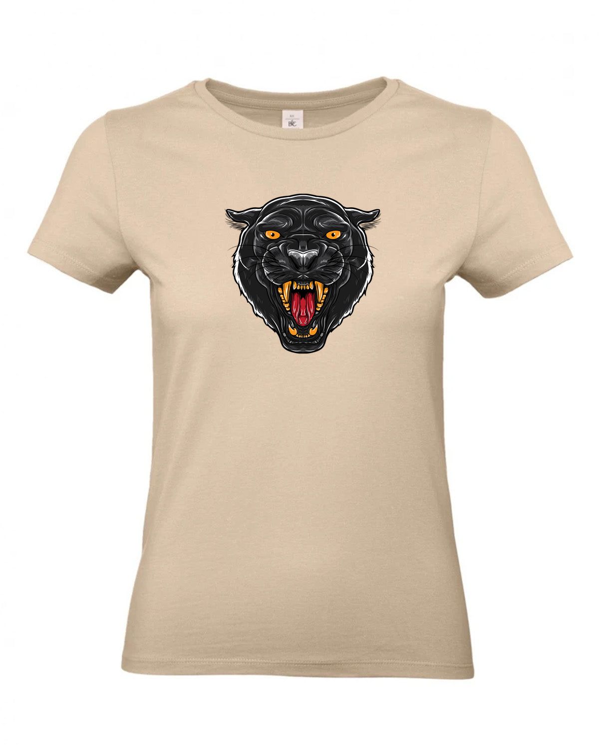 bundle-src:https://cdn.shopify.com/s/files/1/0946/1078/4639/files/TW04T_P_BC_120_01.jpg?v=1772459365