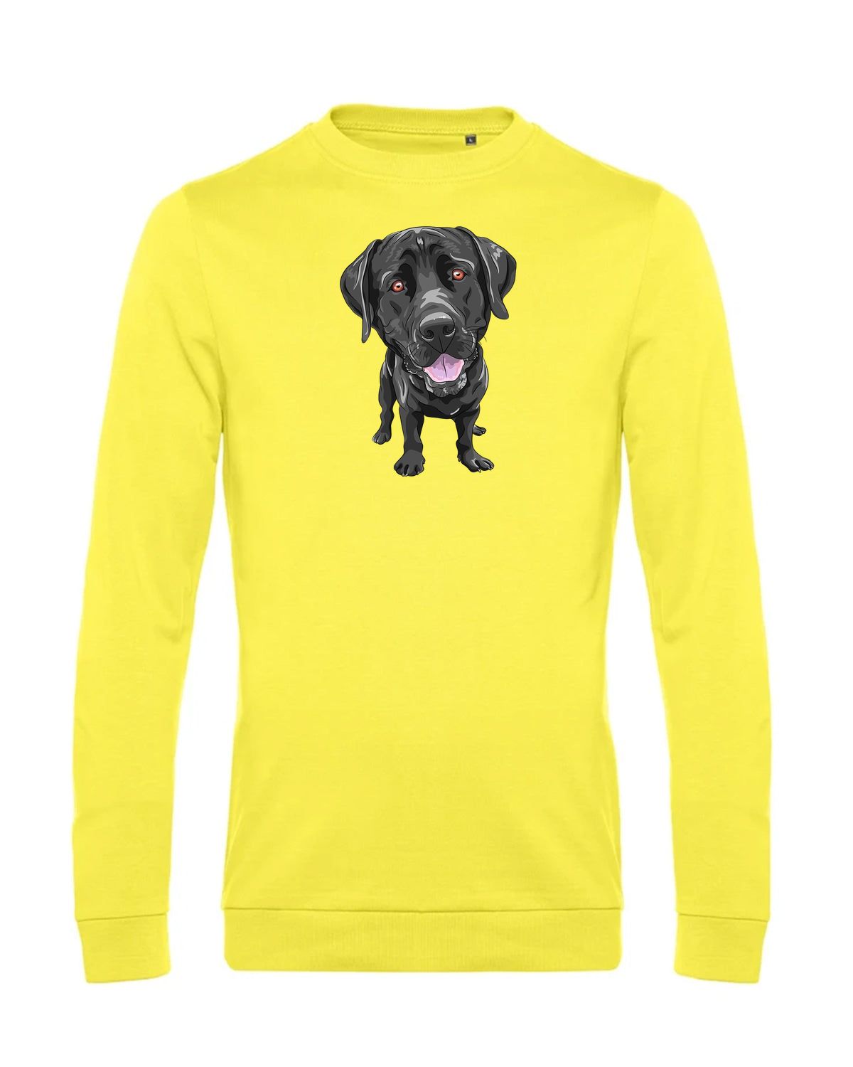 bundle-src:https://cdn.shopify.com/s/files/1/0946/1078/4639/files/WU01W_P_BC_201_01.jpg?v=1772633790