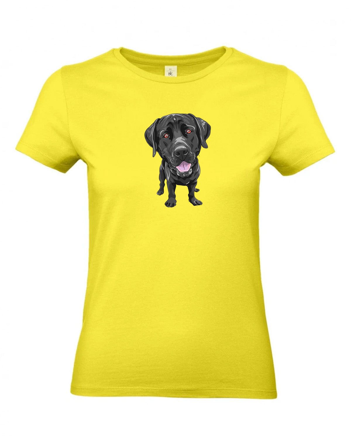 bundle-src:https://cdn.shopify.com/s/files/1/0946/1078/4639/files/TW04T_P_BC_201_01.jpg?v=1772459365