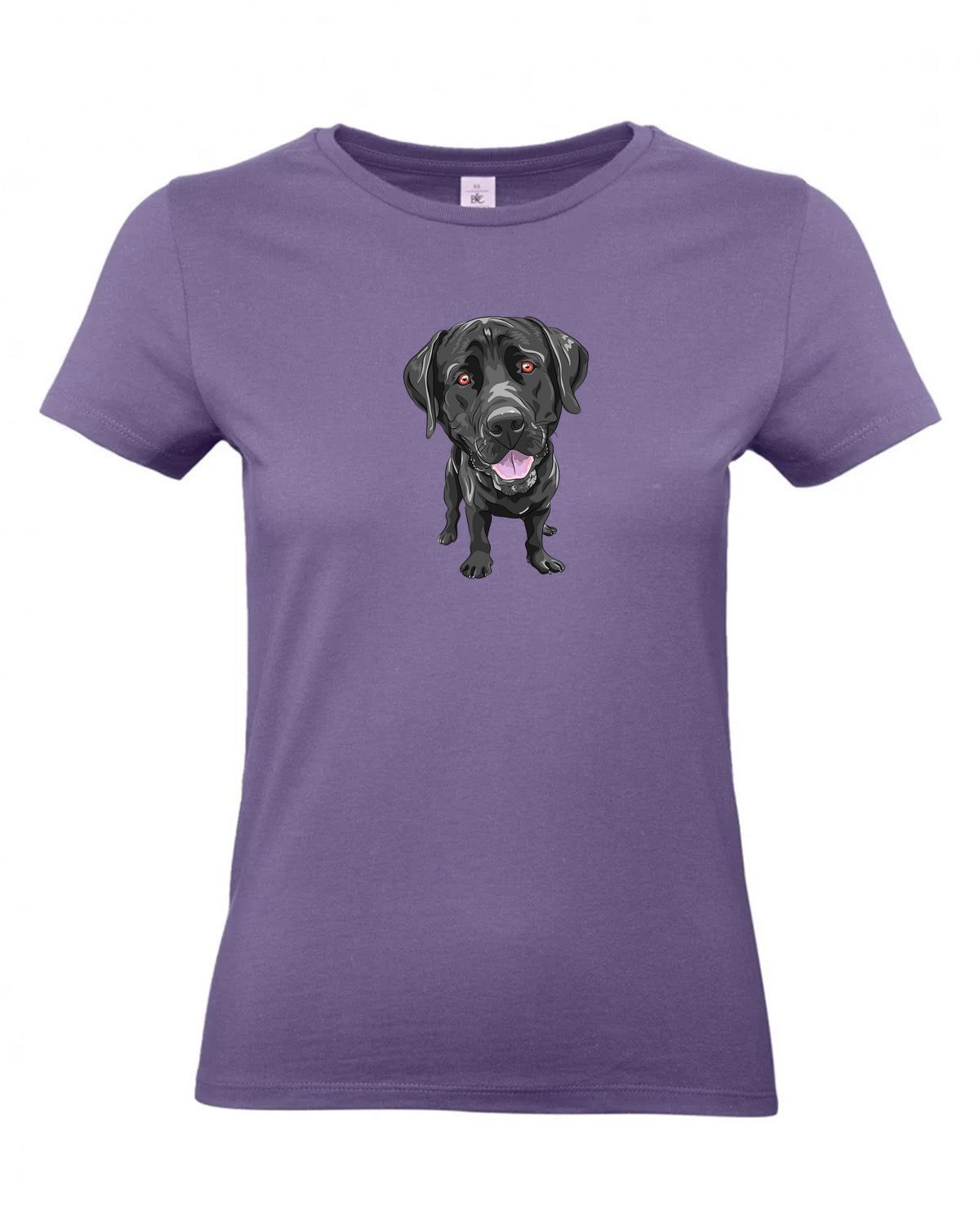 bundle-src:https://cdn.shopify.com/s/files/1/0946/1078/4639/files/TW04T_P_BC_341_01.jpg?v=1772459365