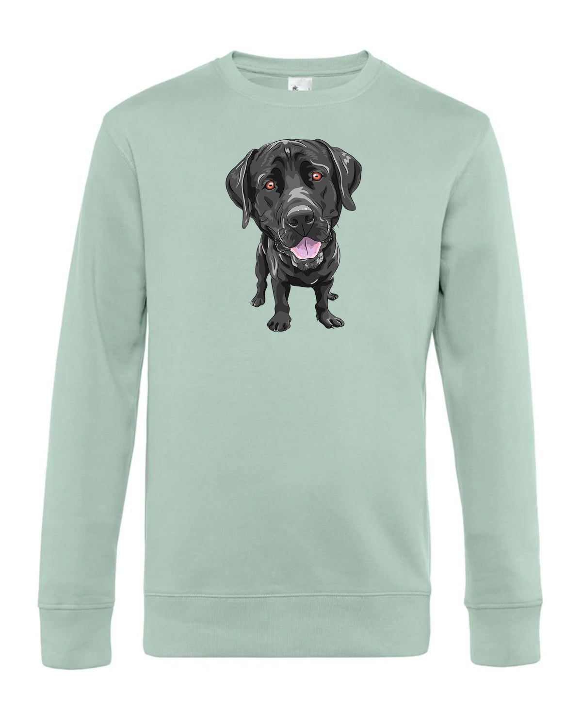 bundle-src:https://cdn.shopify.com/s/files/1/0946/1078/4639/files/WU01K_P_BC_501_01.jpg?v=1773063264