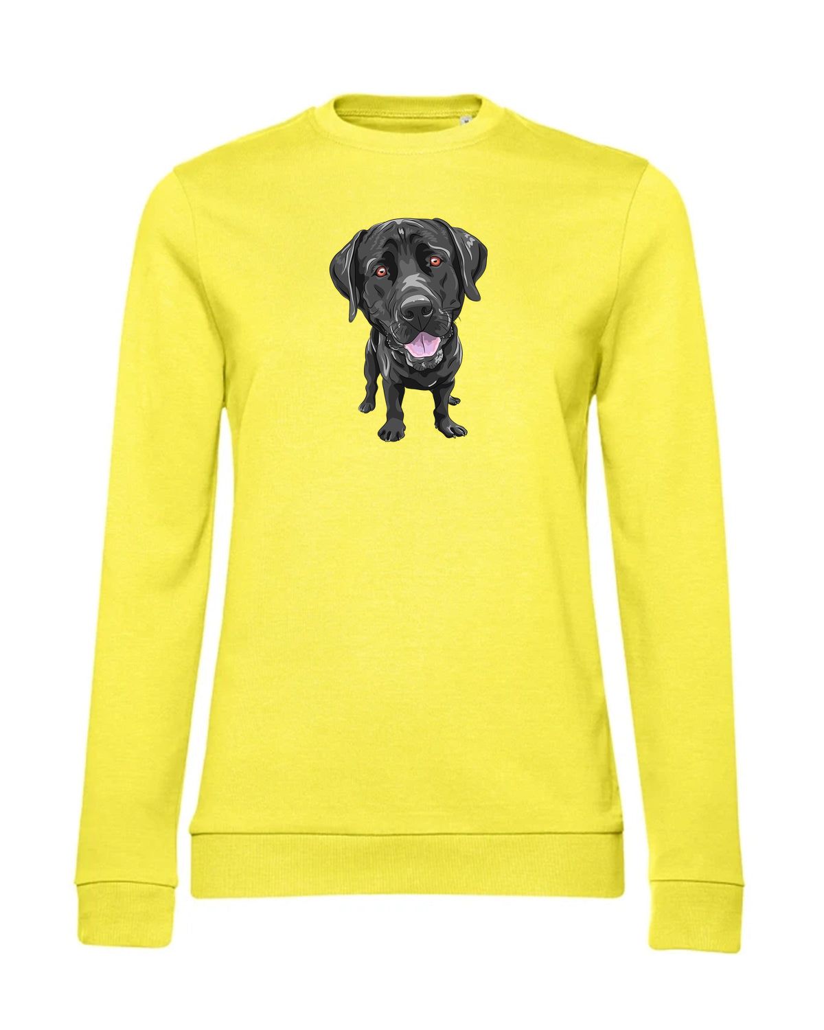 bundle-src:https://cdn.shopify.com/s/files/1/0946/1078/4639/files/WW02W_P_BC_201_01.jpg?v=1773067021